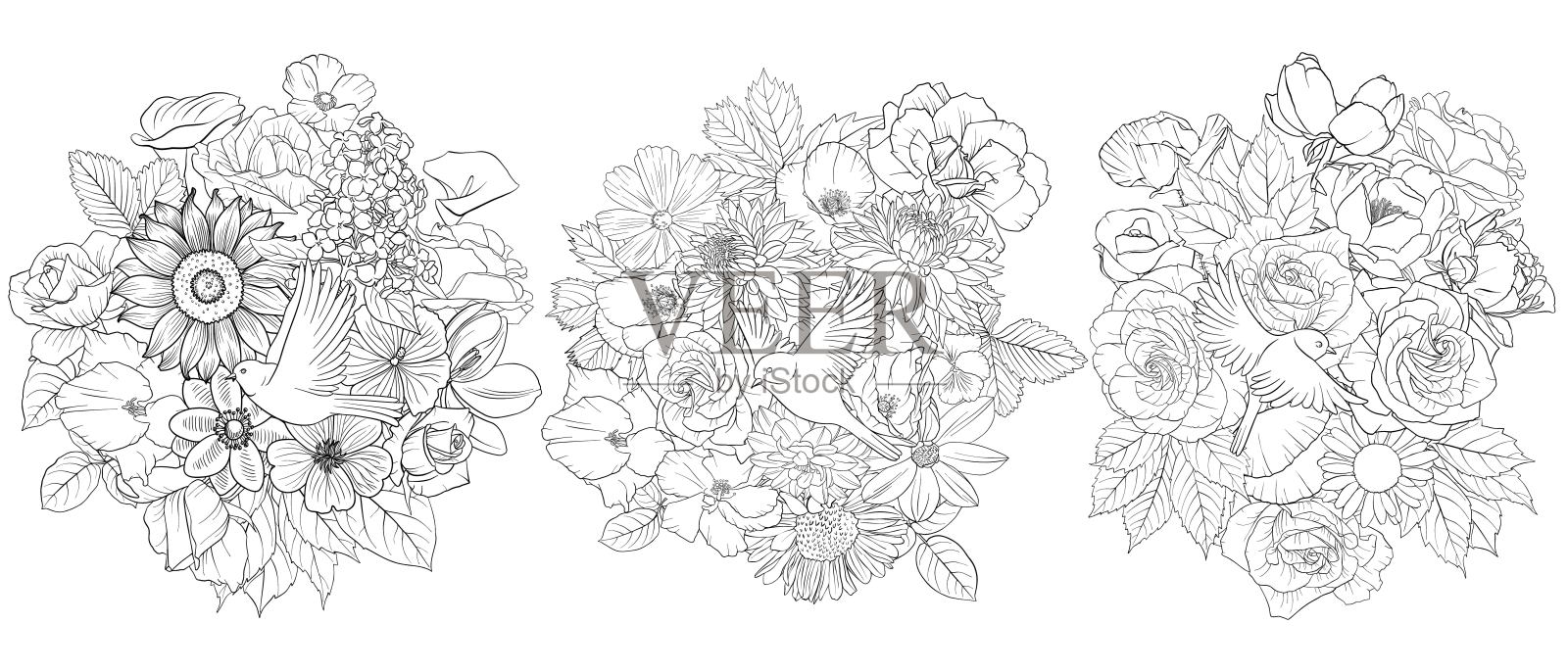 矢量绘制与鸟和花的自然背景插画图片素材