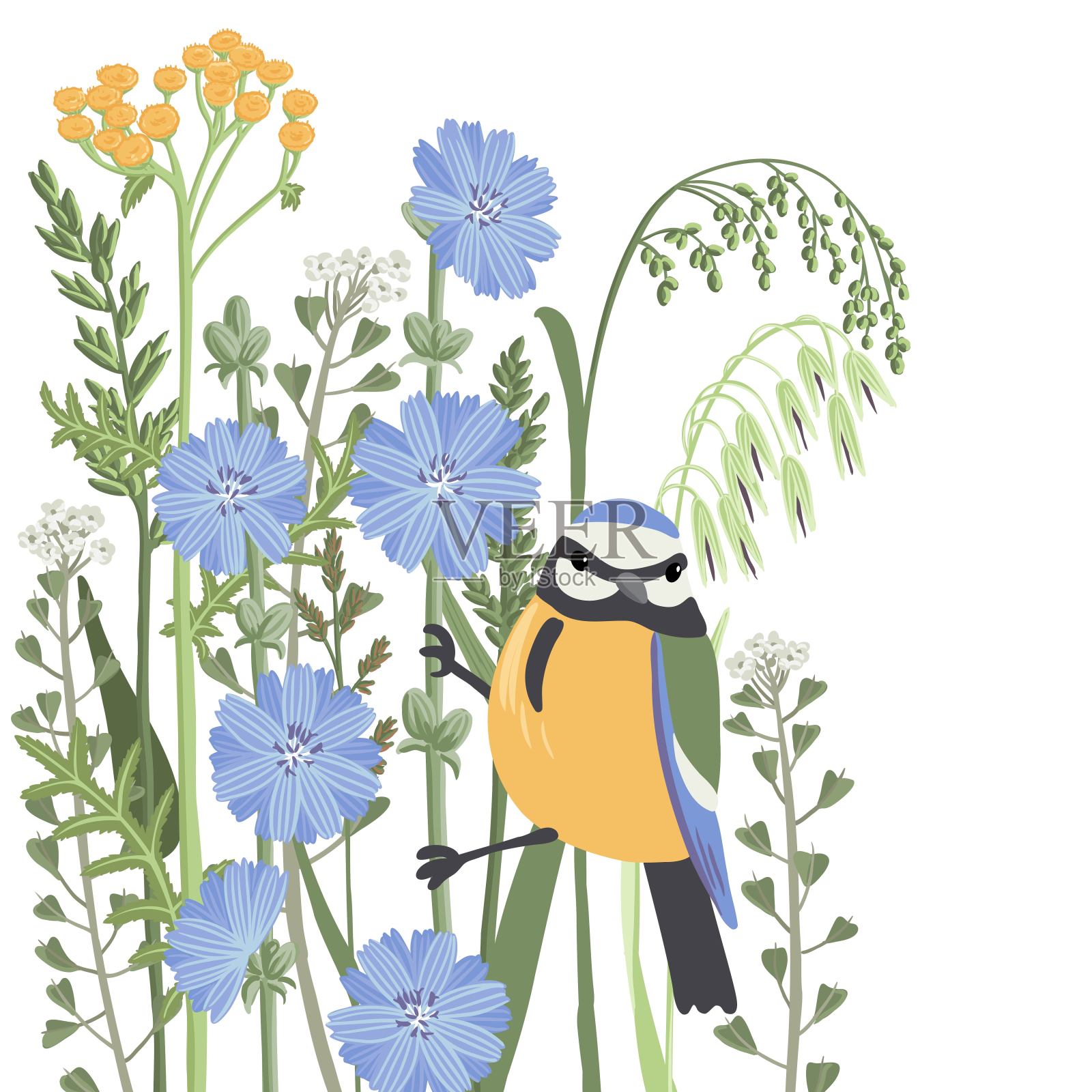 矢量绘制野花插画图片素材