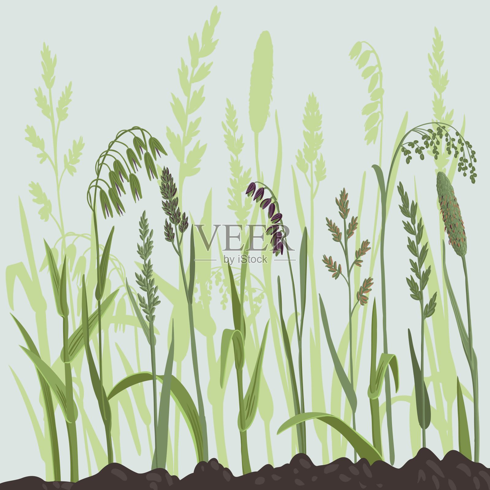 矢量绘制野草插画图片素材