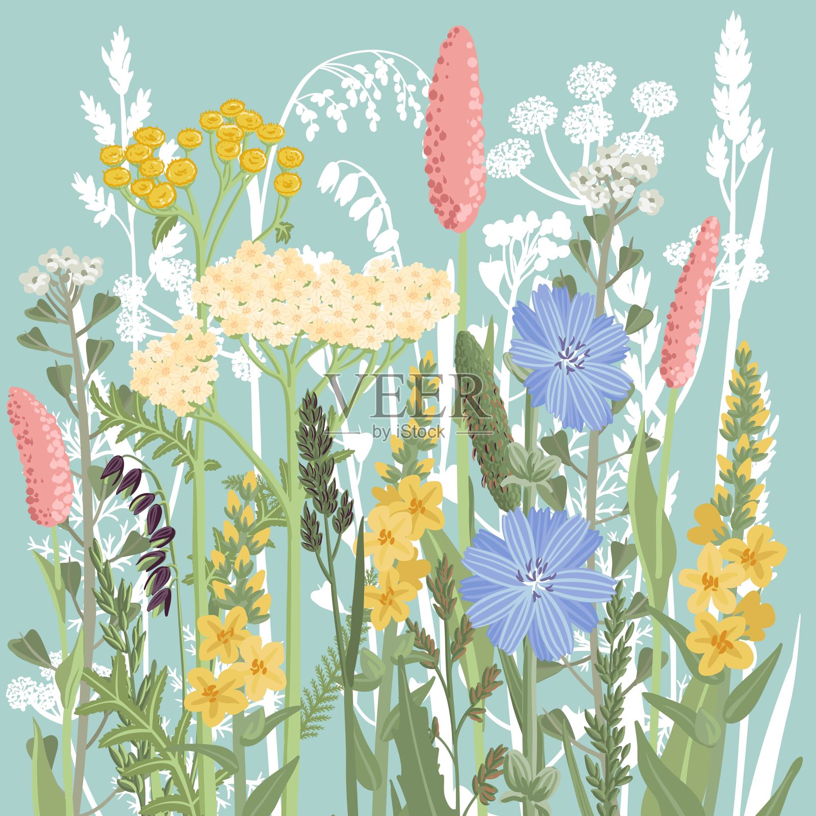 矢量绘制的野花花束插画图片素材