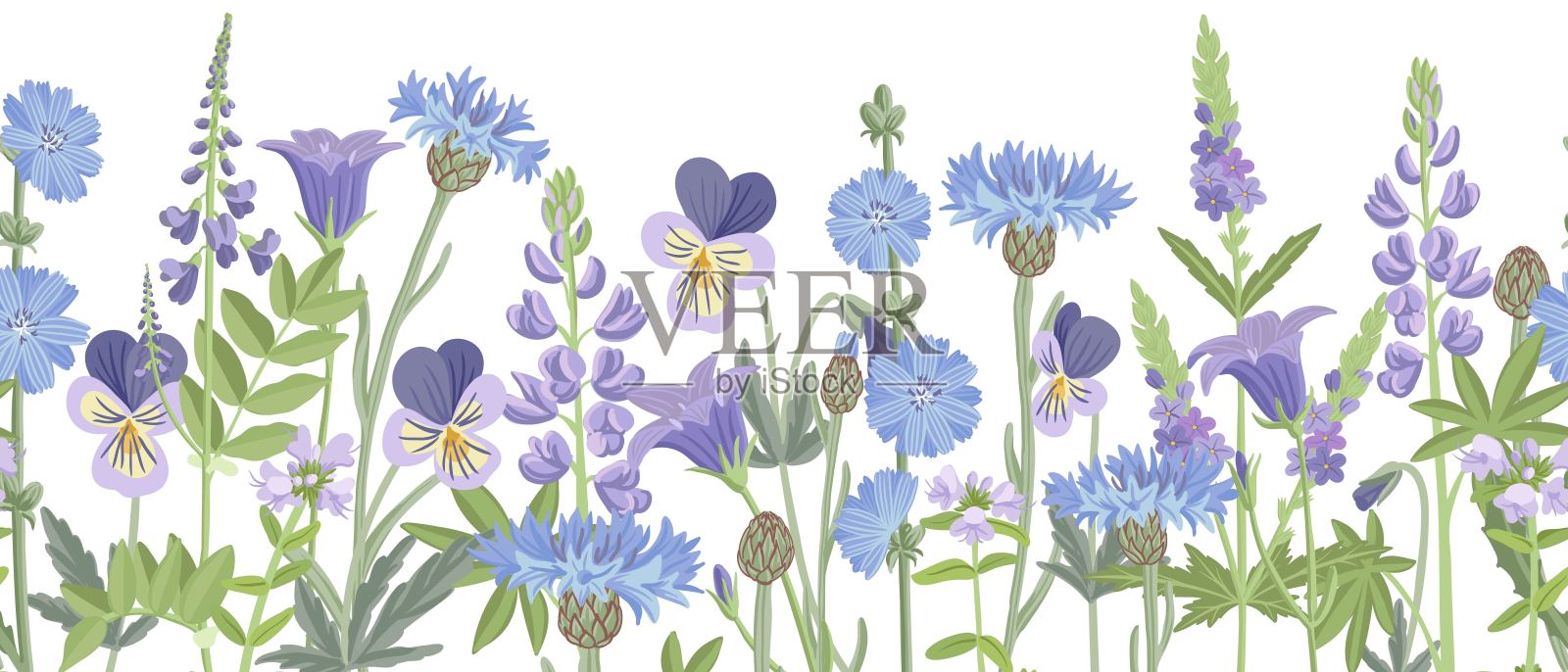 矢量绘制野花插画图片素材