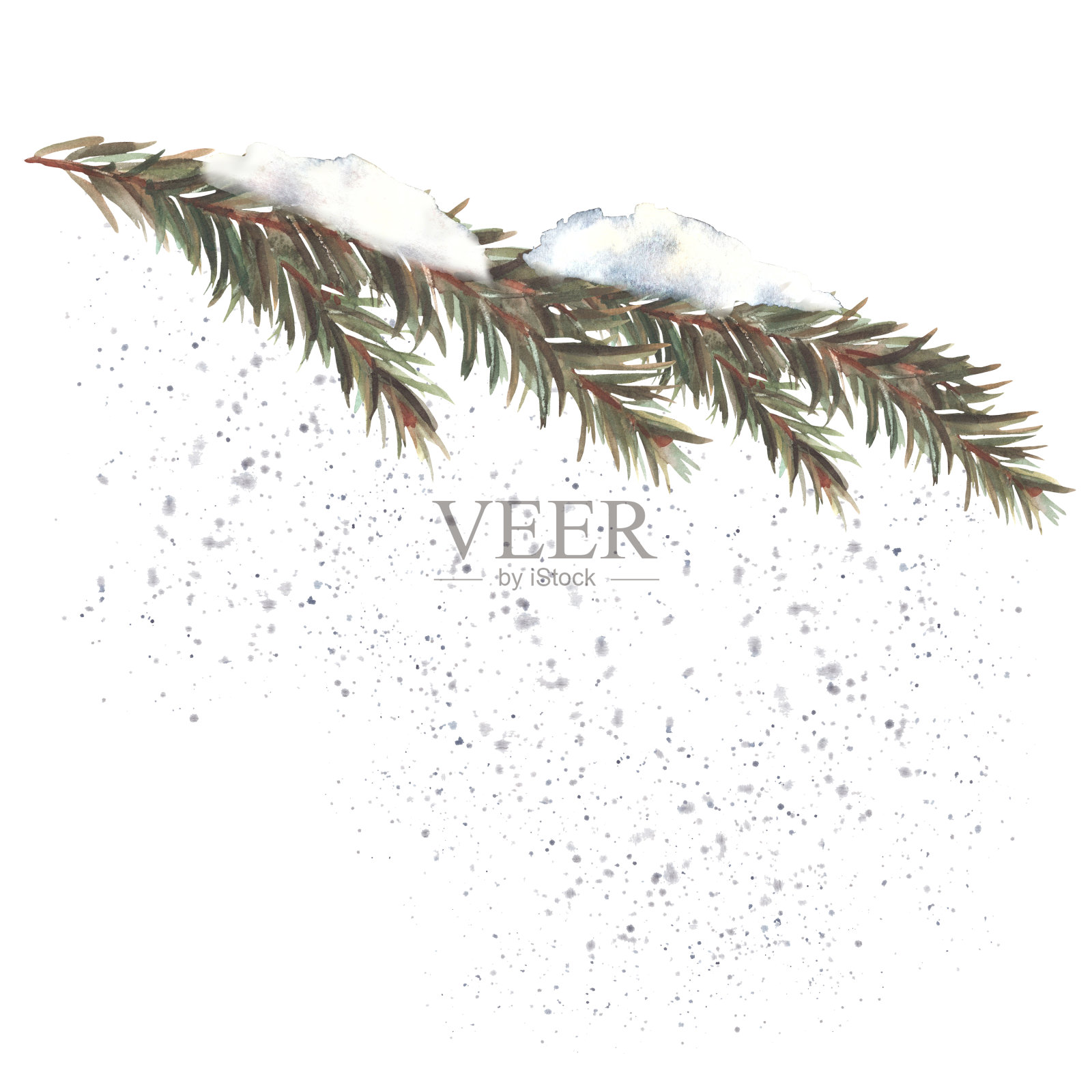 雪盖冬冷杉树枝水彩画云杉，常绿松枝手绘插画插画图片素材
