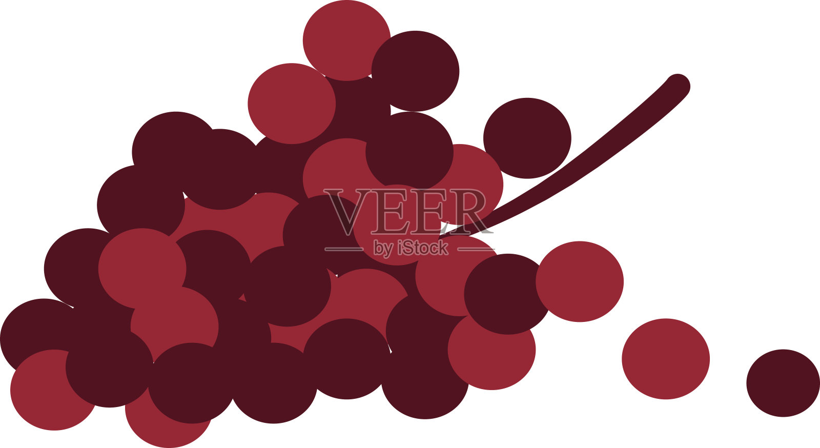 一串红葡萄矢量插图。透明的背景插画图片素材