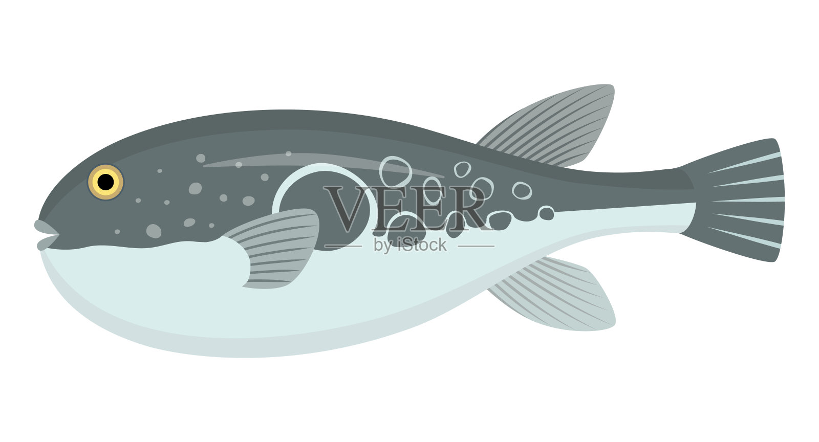 环球鱼的剪贴画插画图片素材