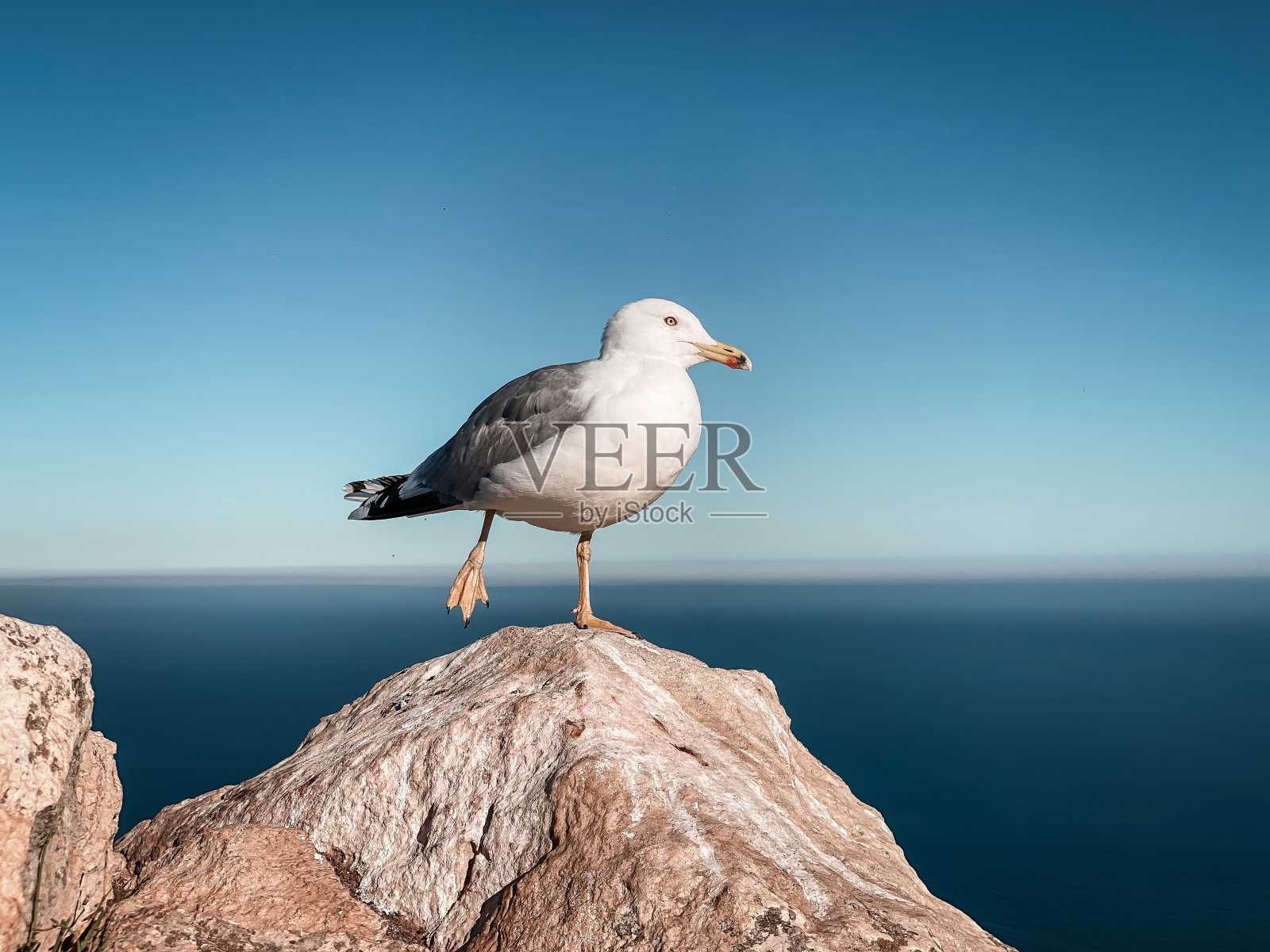 海鸥在Penon de Ifach:云层之上的景色照片摄影图片