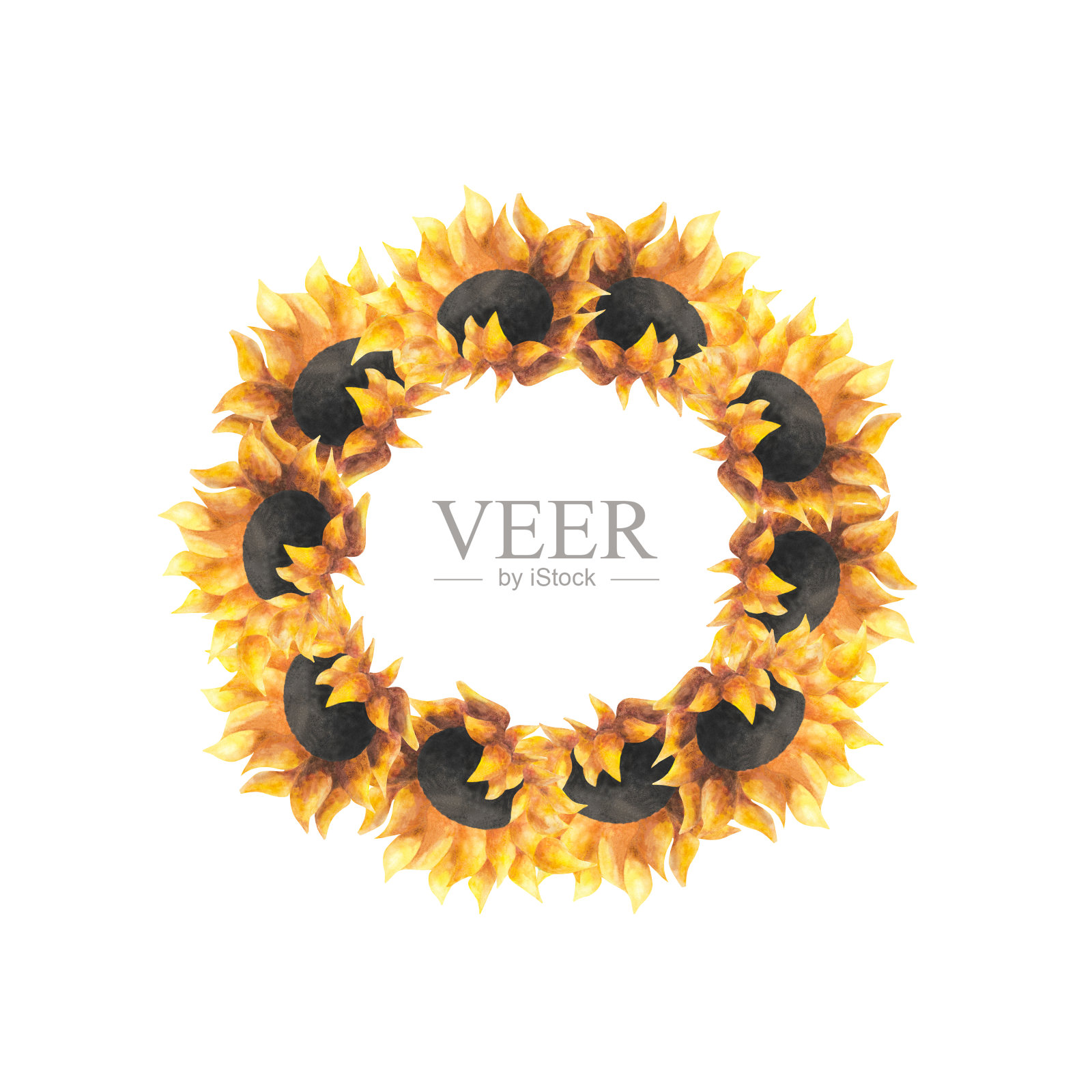 水彩花花环与向日葵向日葵圈框架葵花籽油包装广告邀请明信片标志园艺日装饰妇女节母亲节生日圆形边界模板插画图片素材