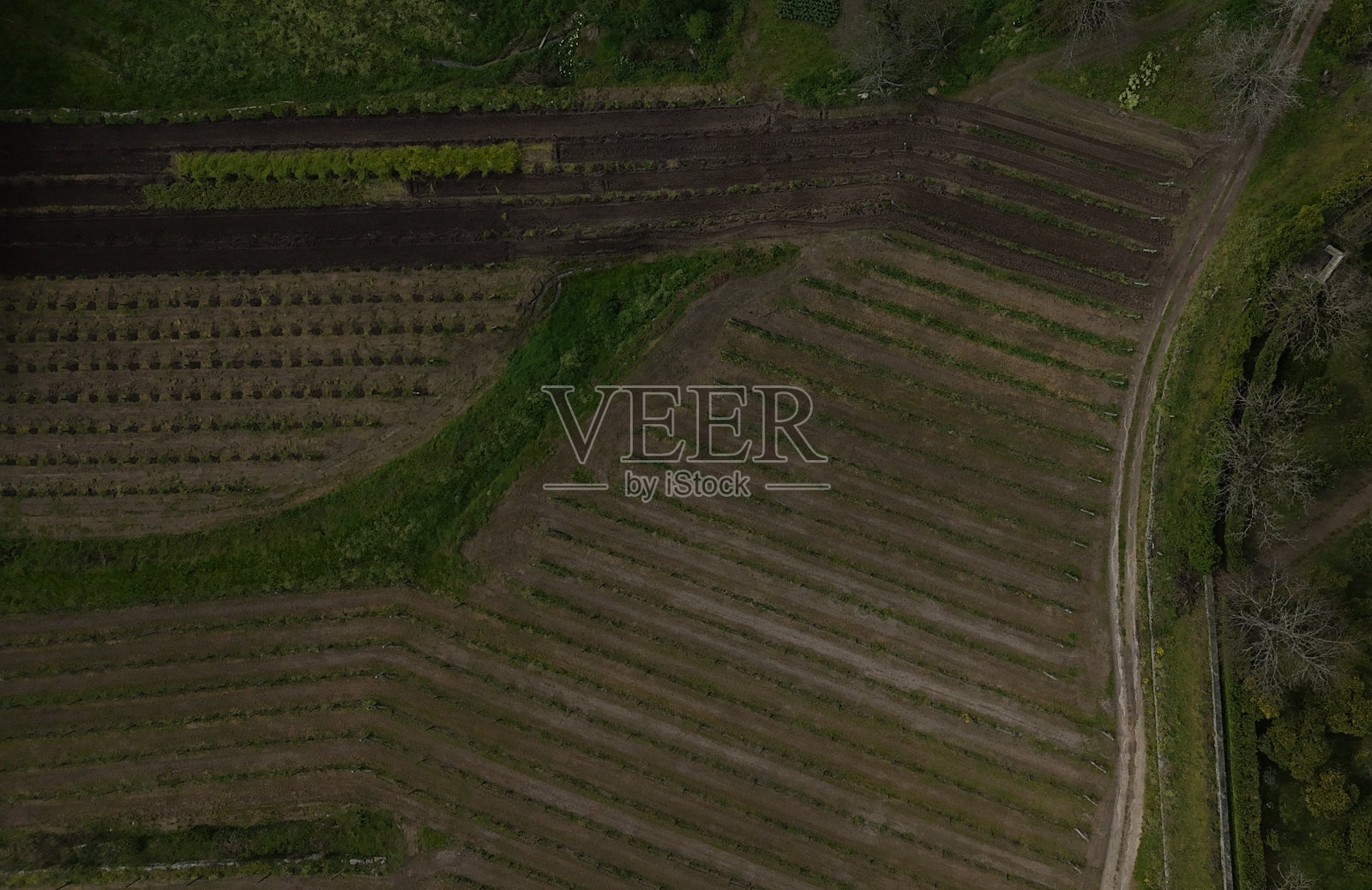 农业区的鸟瞰图。照片摄影图片