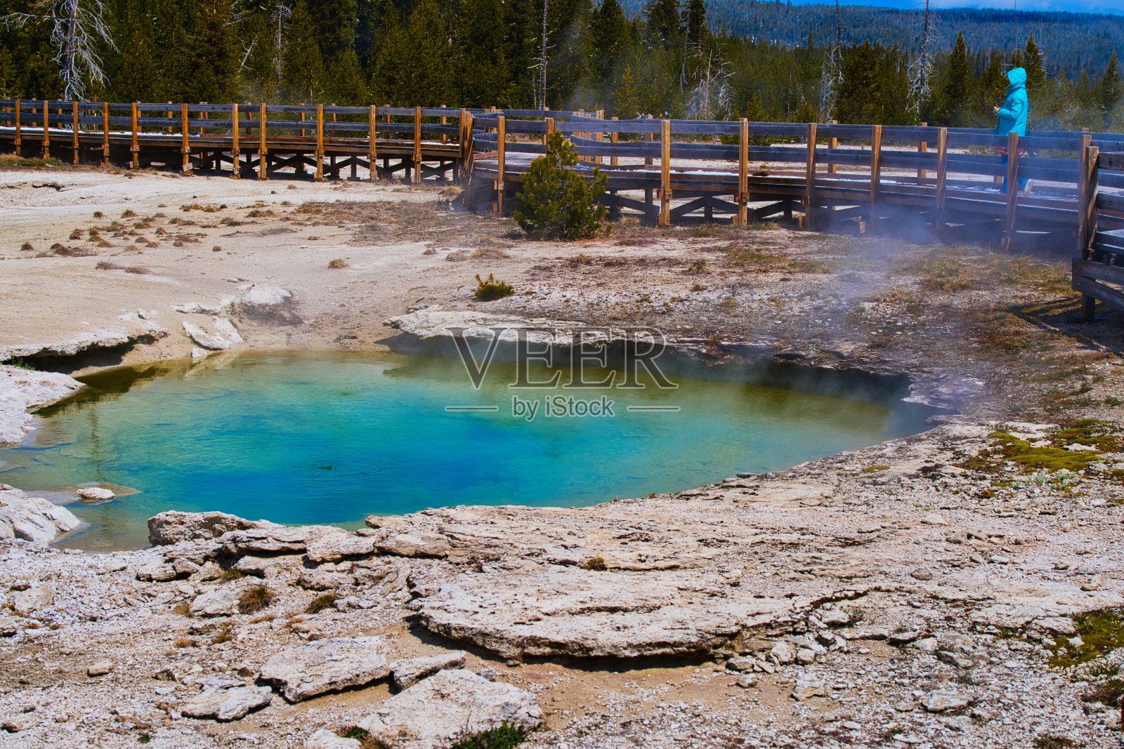 美国黄石国家公园的喷泉照片摄影图片
