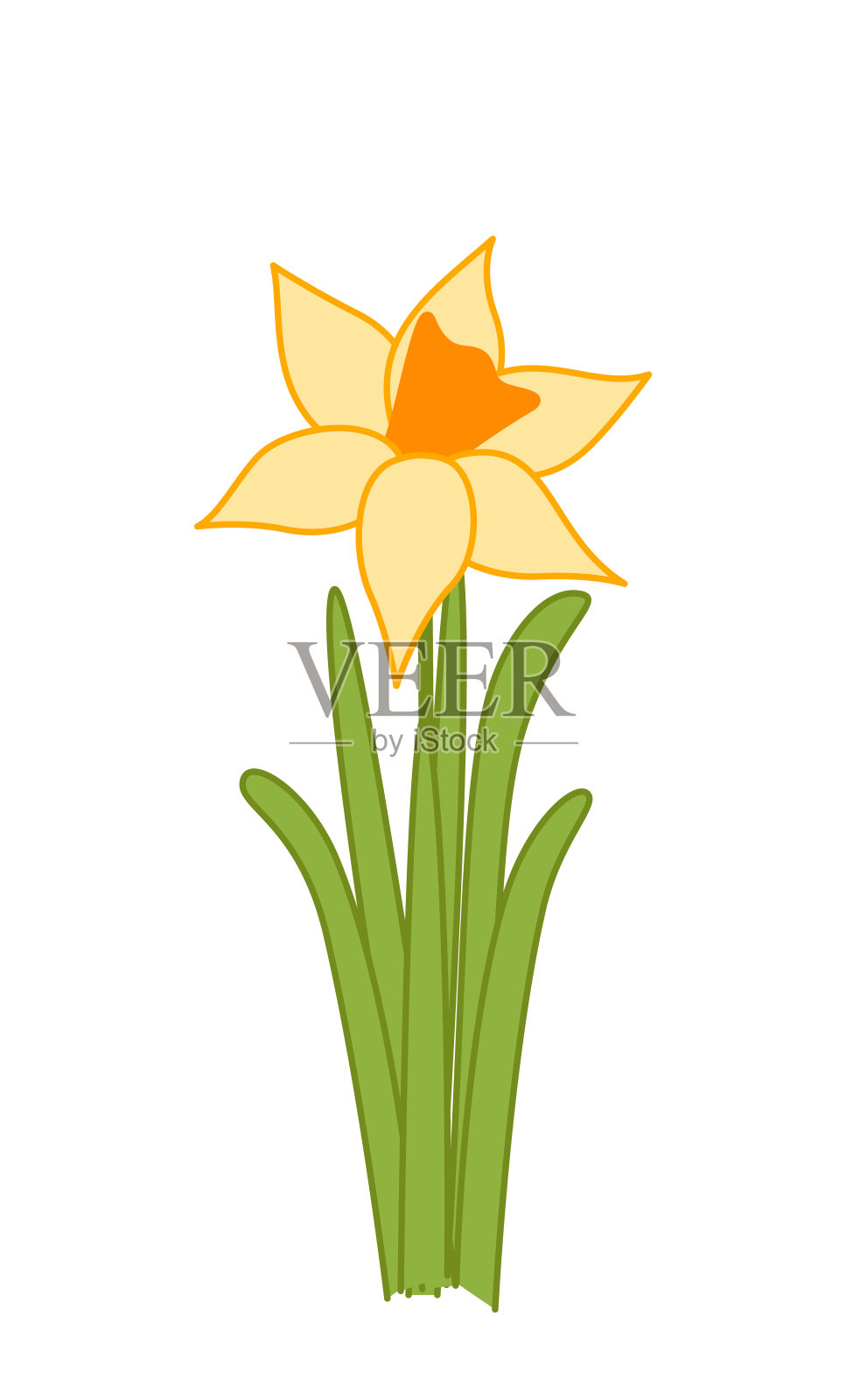 水仙。黄水仙。春天的黄花。卡通、矢量插画图片素材