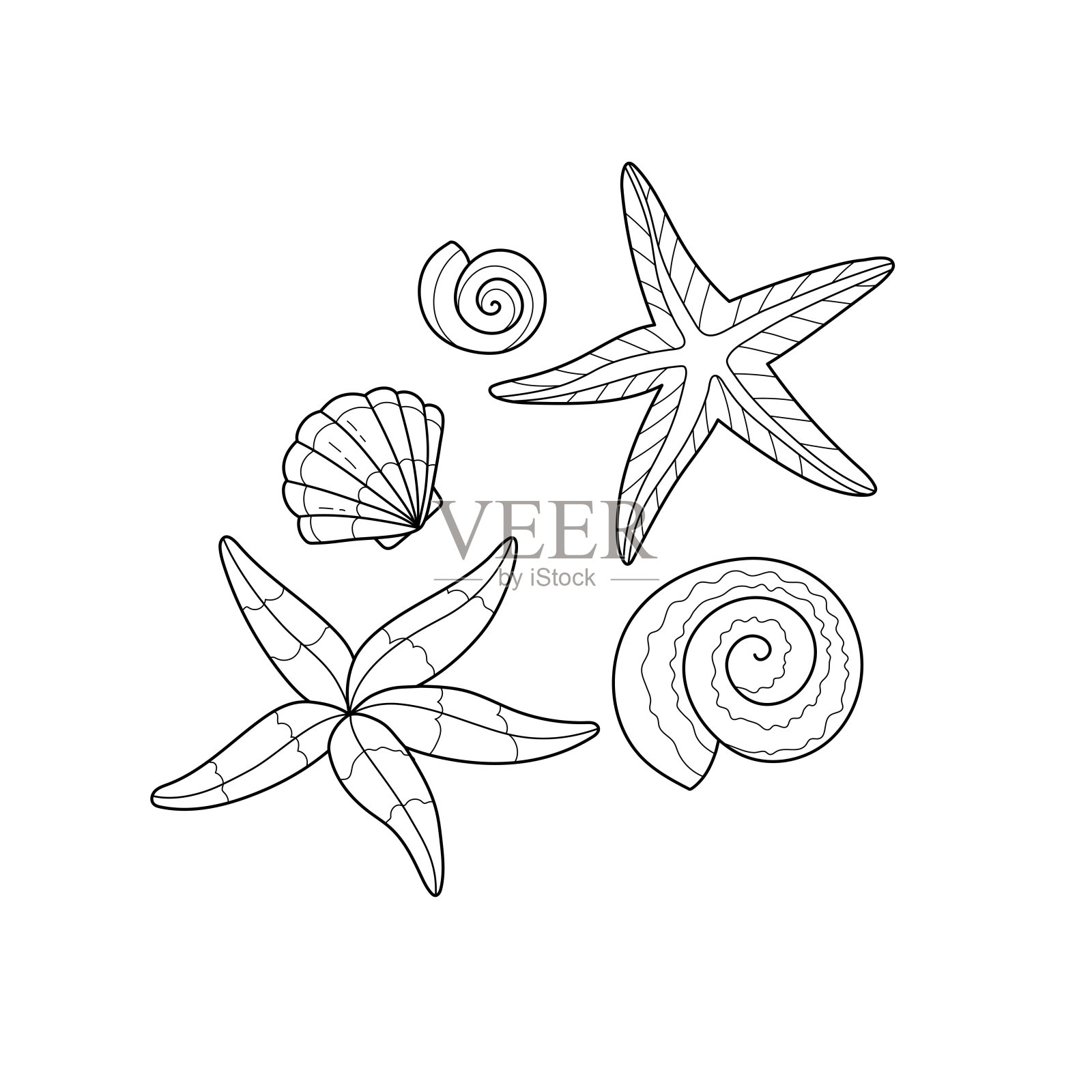 配上海星和贝壳。儿童涂色书。夏季涂色页。矢量线条图插画图片素材