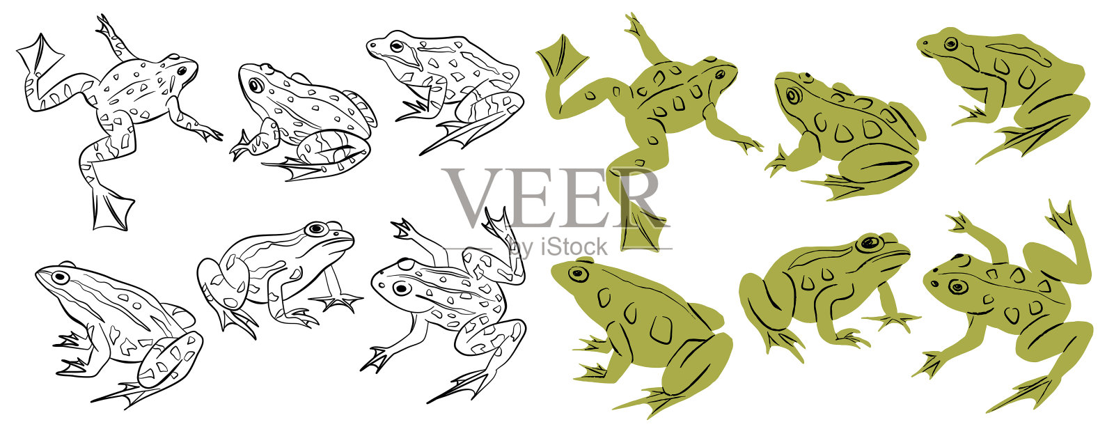 青蛙轮廓和卡通彩色两栖动物图标集插画图片素材