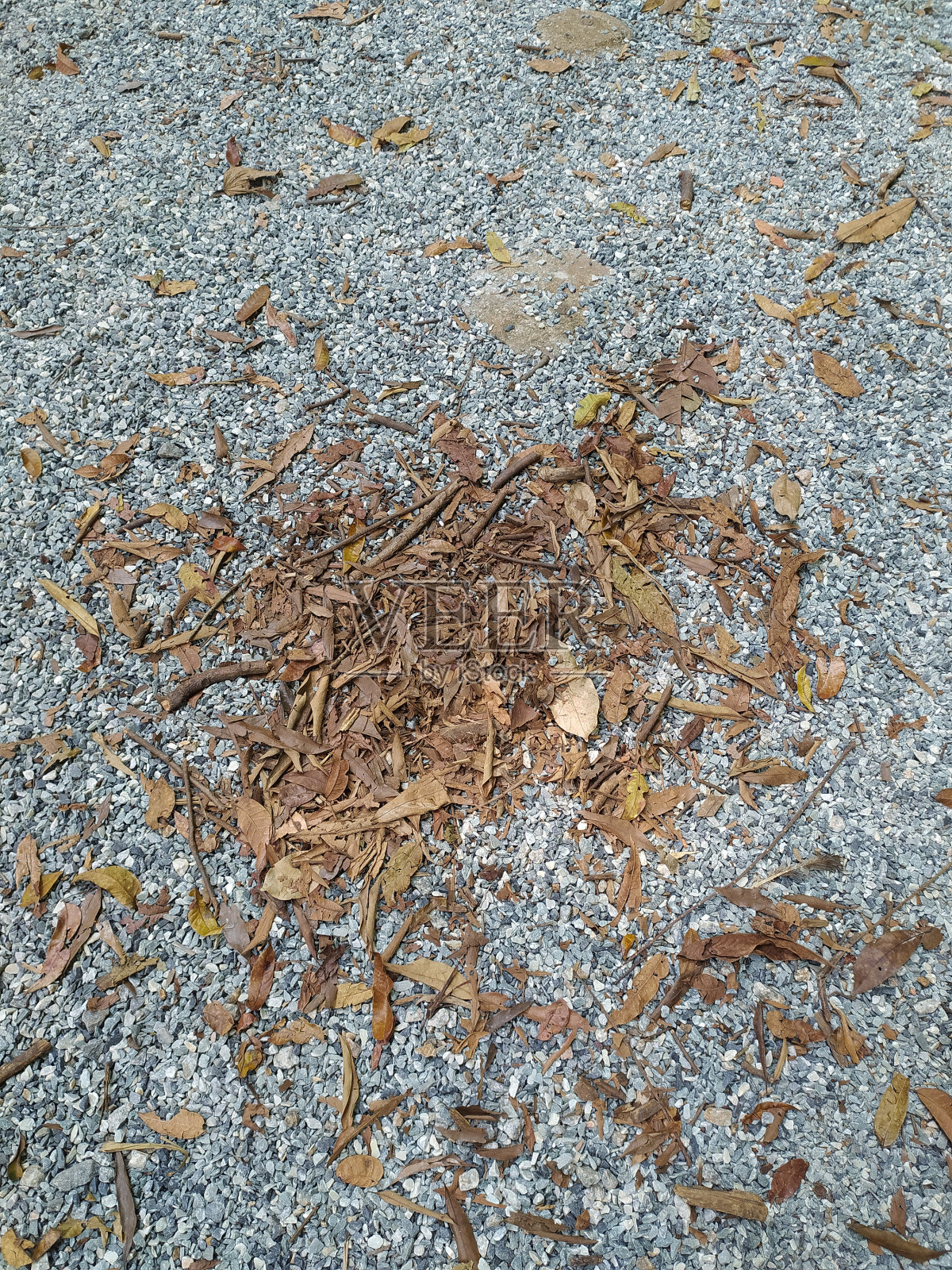 在圣保罗的一个公园里，一束干树叶躺在鹅卵石地板上照片摄影图片