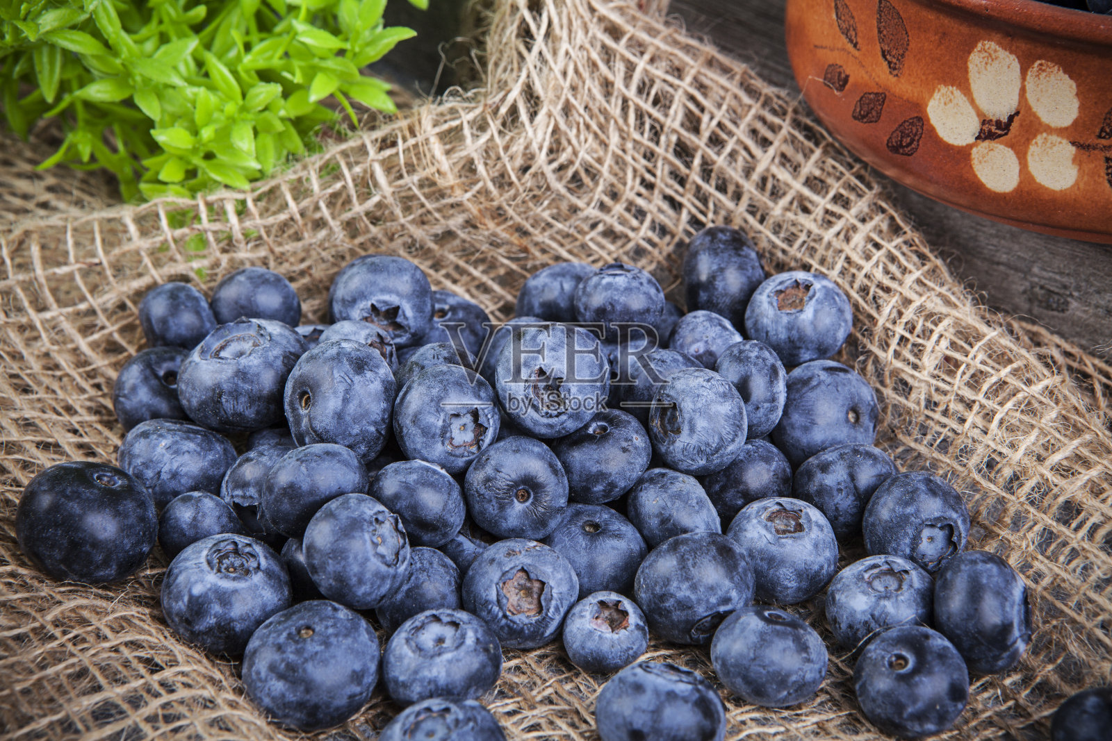 蓝莓果，新鲜健康的食品照片摄影图片