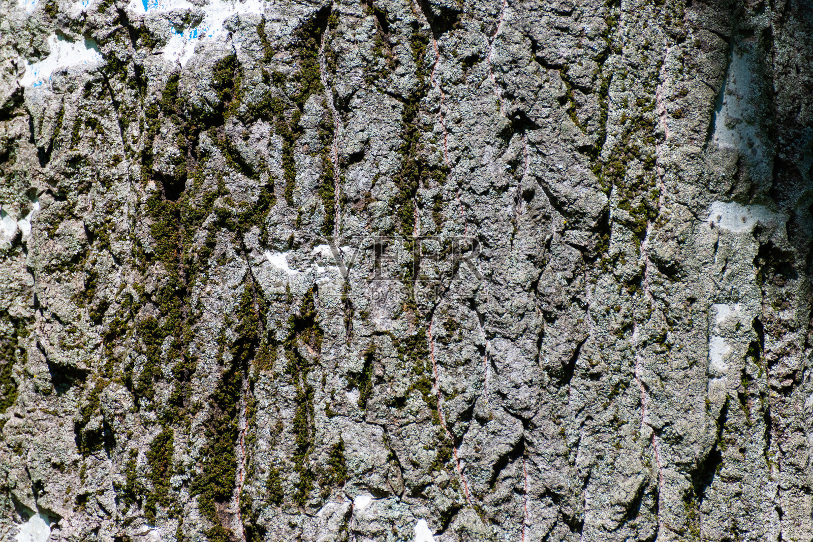 木材纹理照片摄影图片