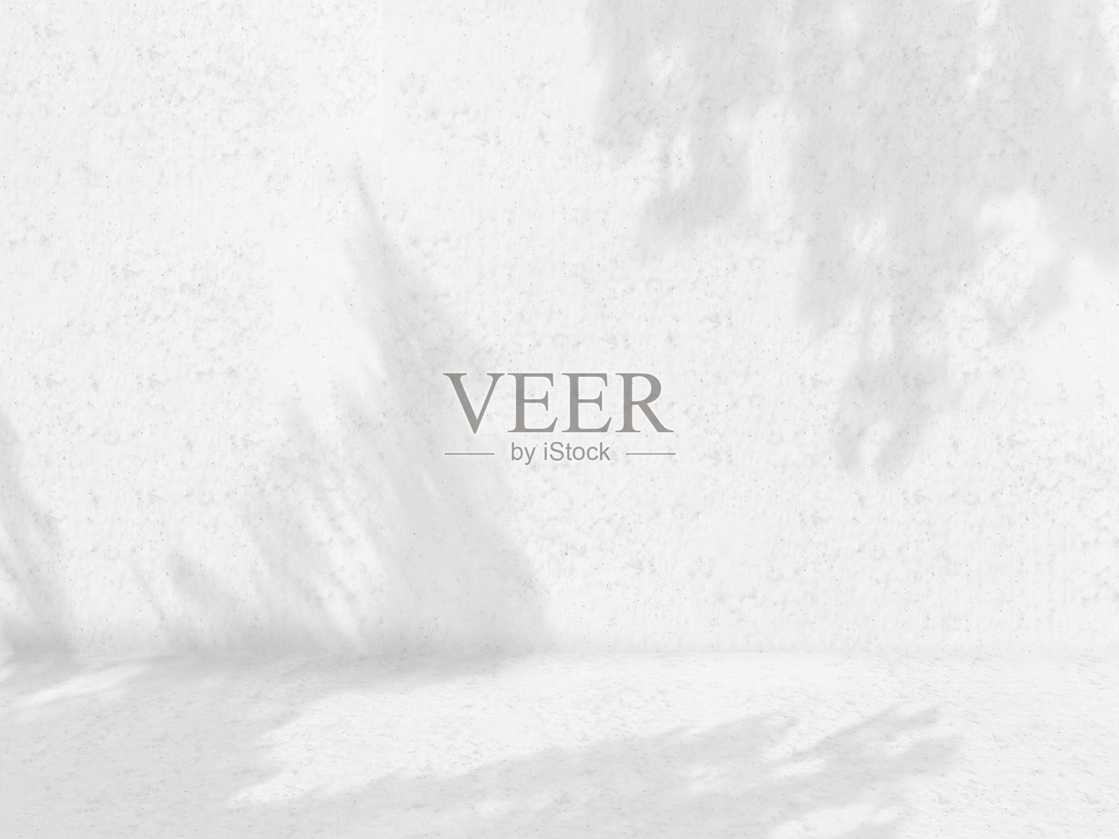 地板和墙壁是树叶和树枝的白色混凝土阴影照片摄影图片