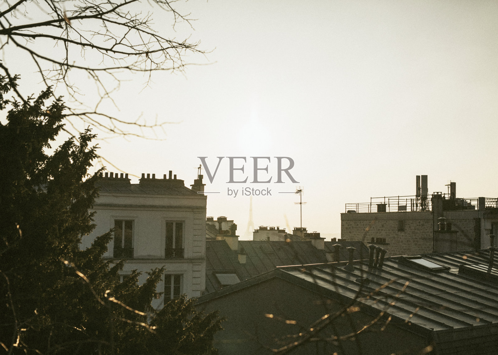 阳光下的城市房屋照片摄影图片