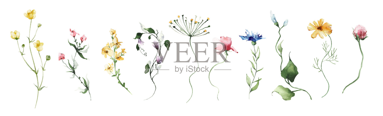 水彩画花卉剪贴画集。蓝色，粉红色，紫色和黄色的野花，树枝，树叶和细枝。插画图片素材