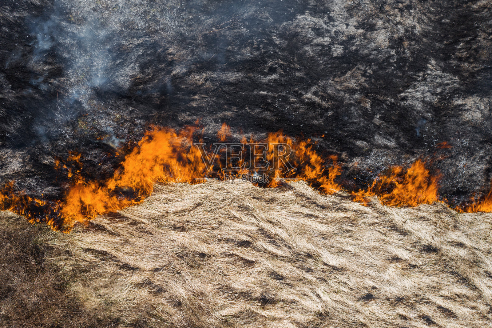 燃烧着干草。森林灾害航拍无人机。夏天有烟的火。纹理明亮的火焰森林大火。生态。环境保护。烧焦的土地。无人机。副本的空间。自然照片摄影图片