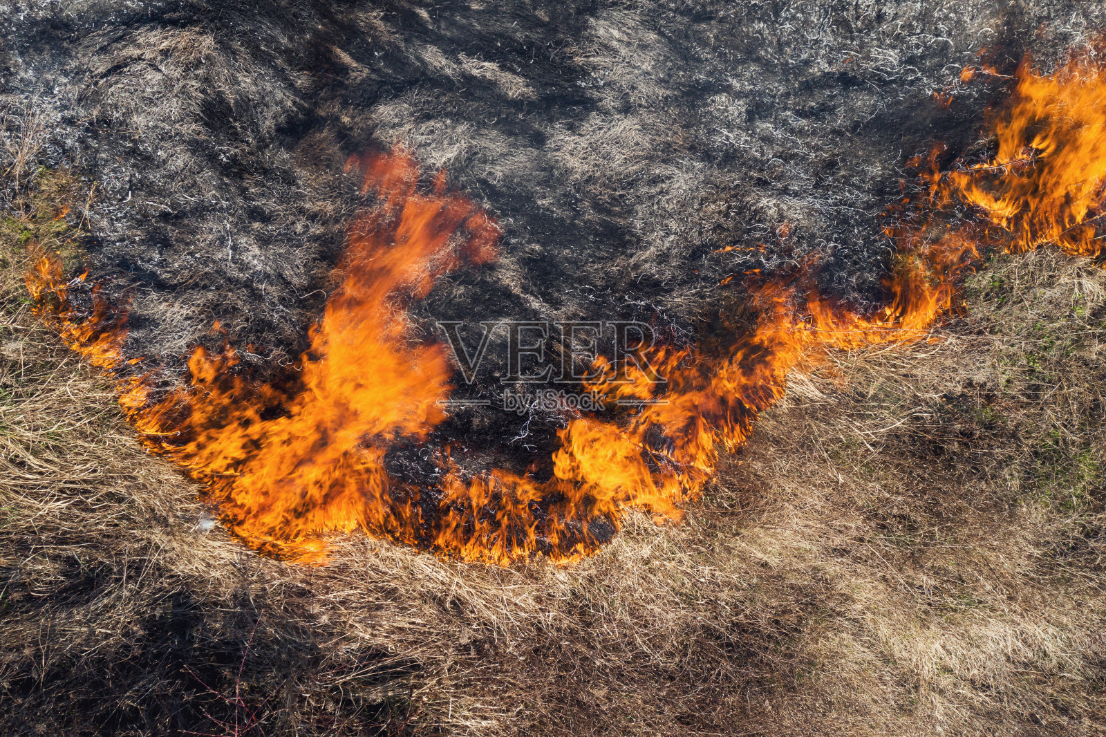 燃烧着干草。森林灾害航拍无人机。夏天有烟的火。纹理明亮的火焰森林大火。生态。环境保护。烧焦的土地。无人机。副本的空间。自然照片摄影图片