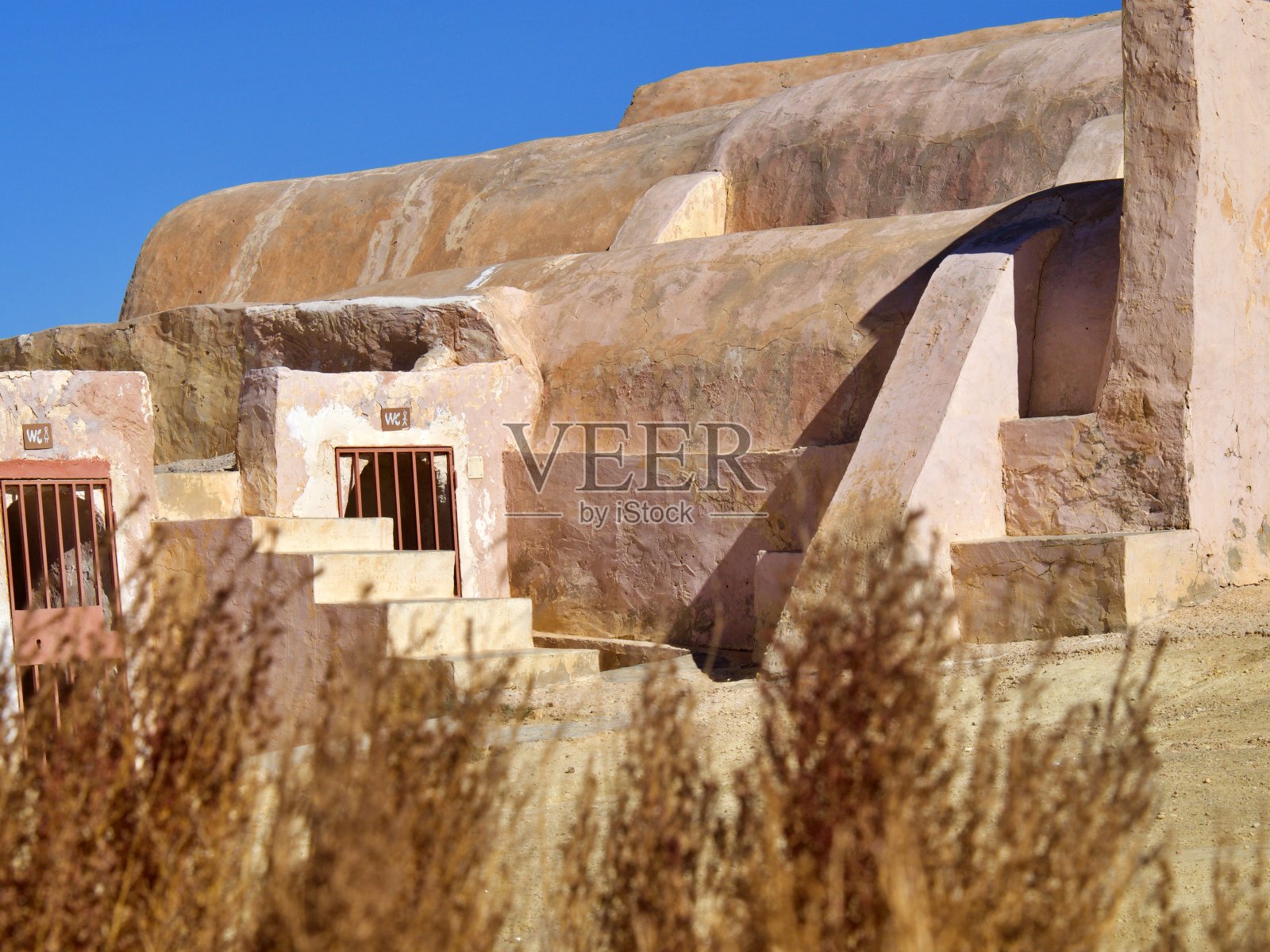 撒哈拉灌木照片摄影图片