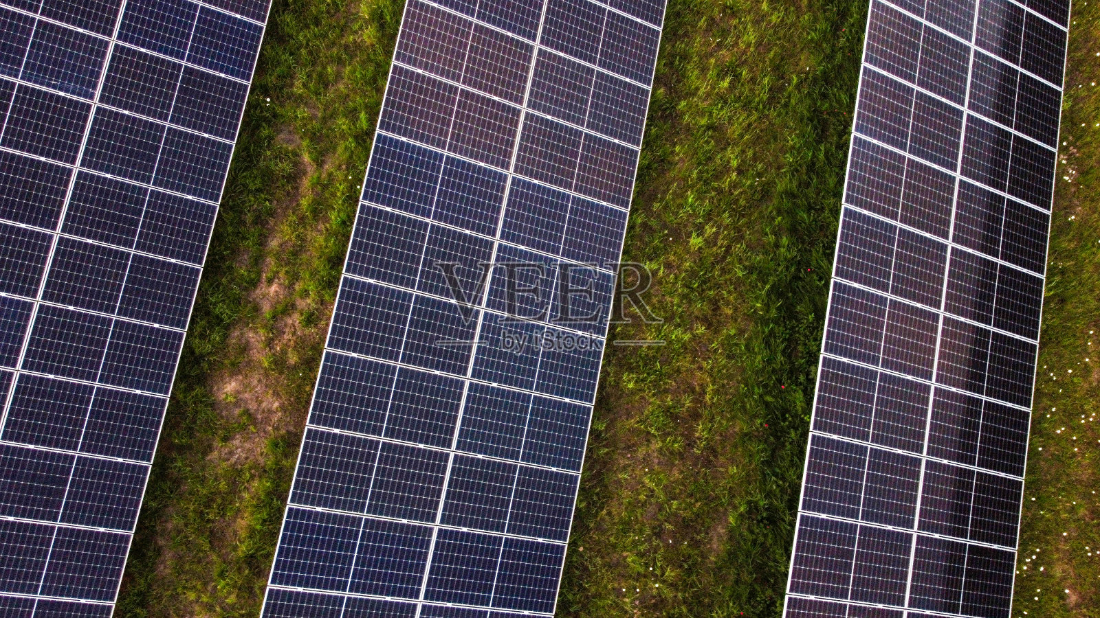绿色场地上的太阳能电池板特写照片摄影图片