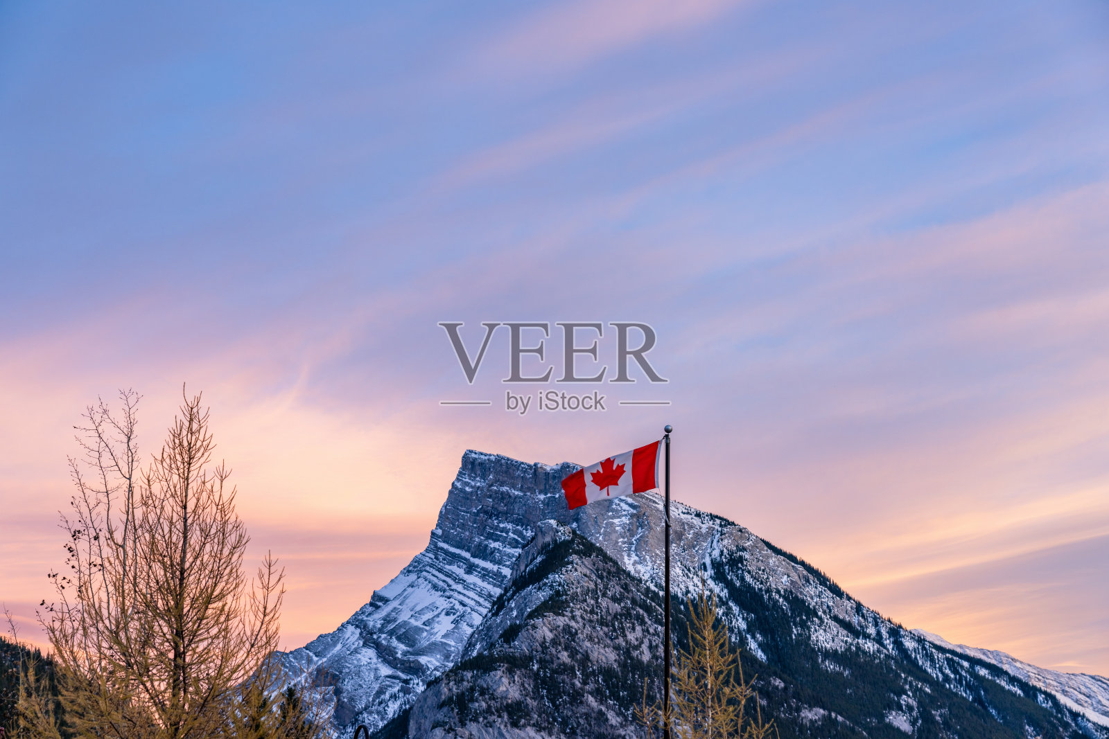 加拿大国旗。背景是朗德尔山和干枯的树木。班夫国家公园照片摄影图片