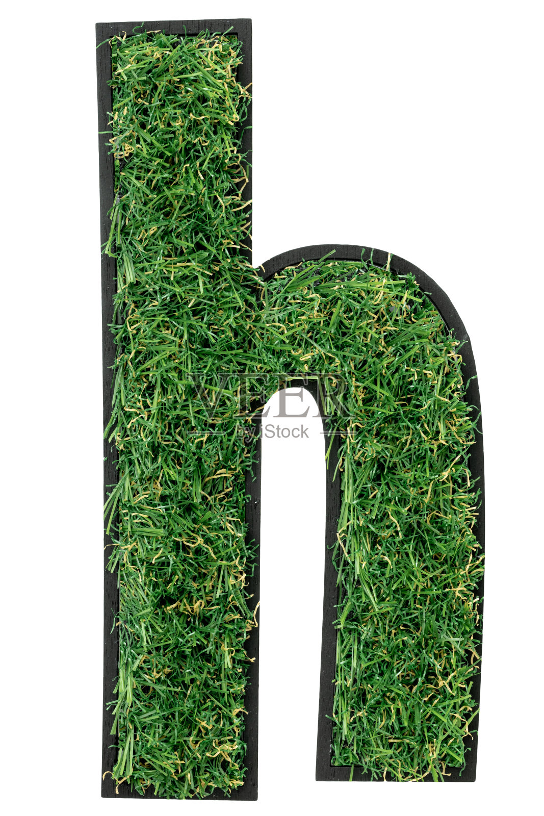 字母H由绿草组成，孤立在白色上。照片摄影图片