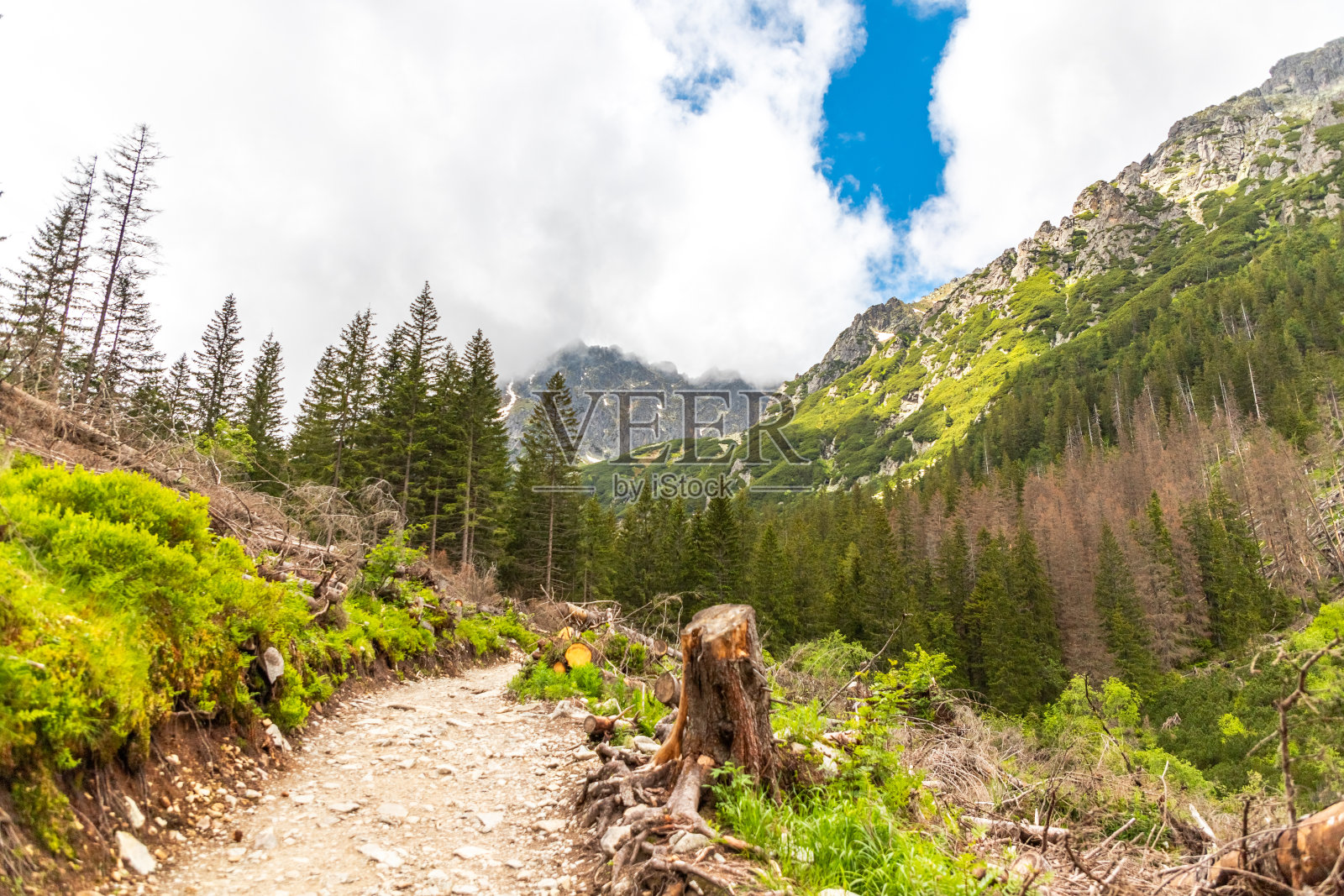 大自然和波兰的塔特拉山脉照片摄影图片