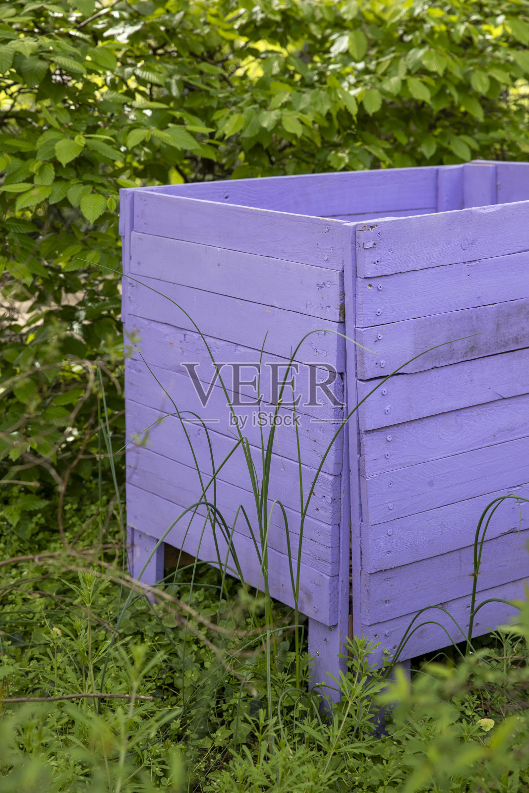 新的紫色木质堆肥照片摄影图片