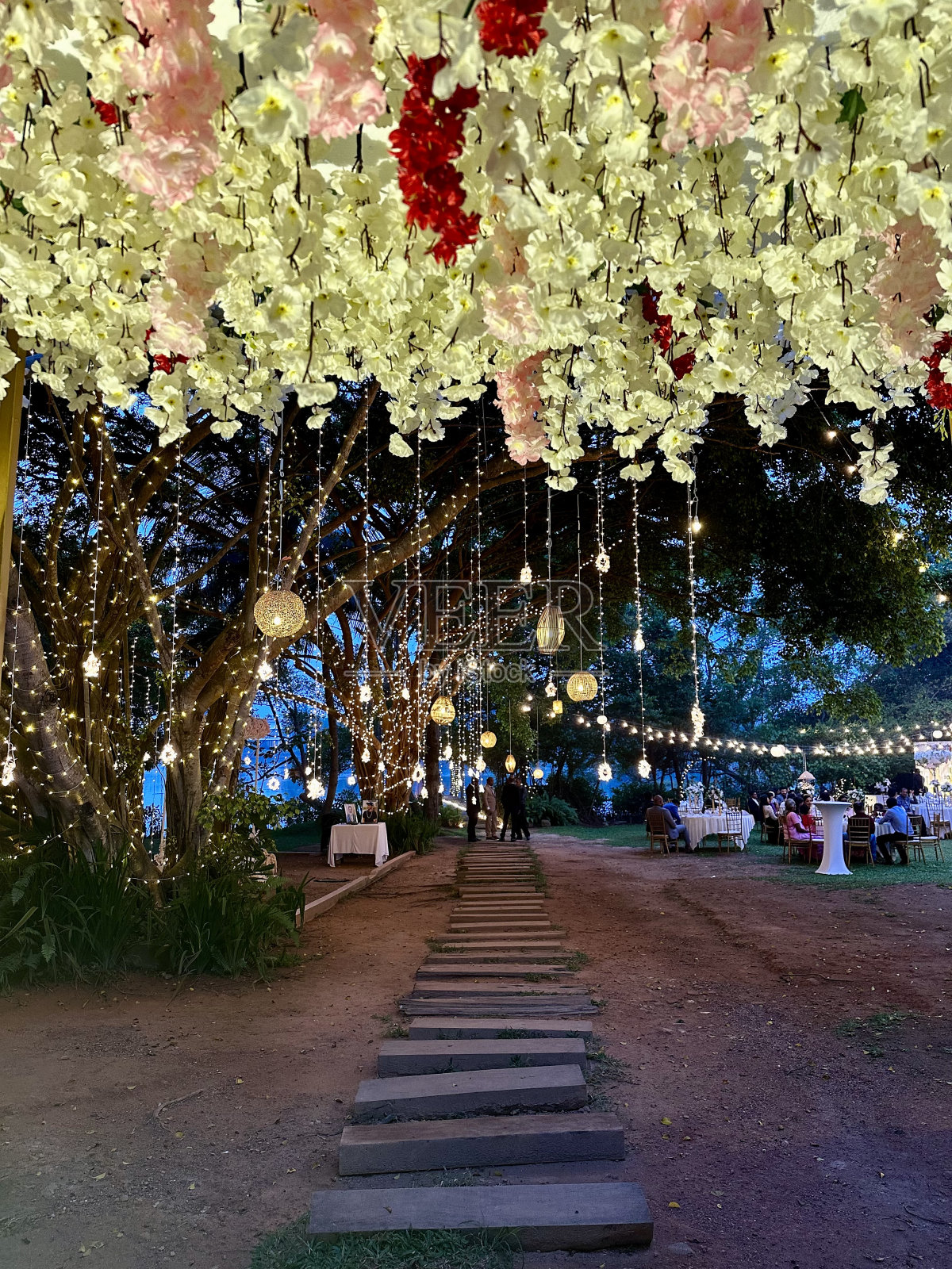 Bolgoda 360照片摄影图片