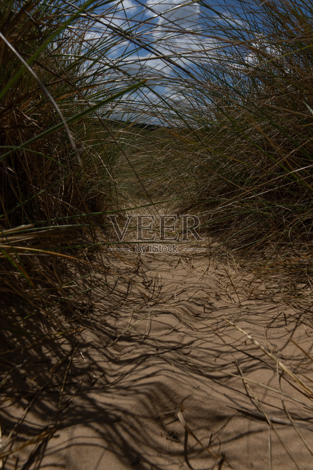 沙丘照片摄影图片