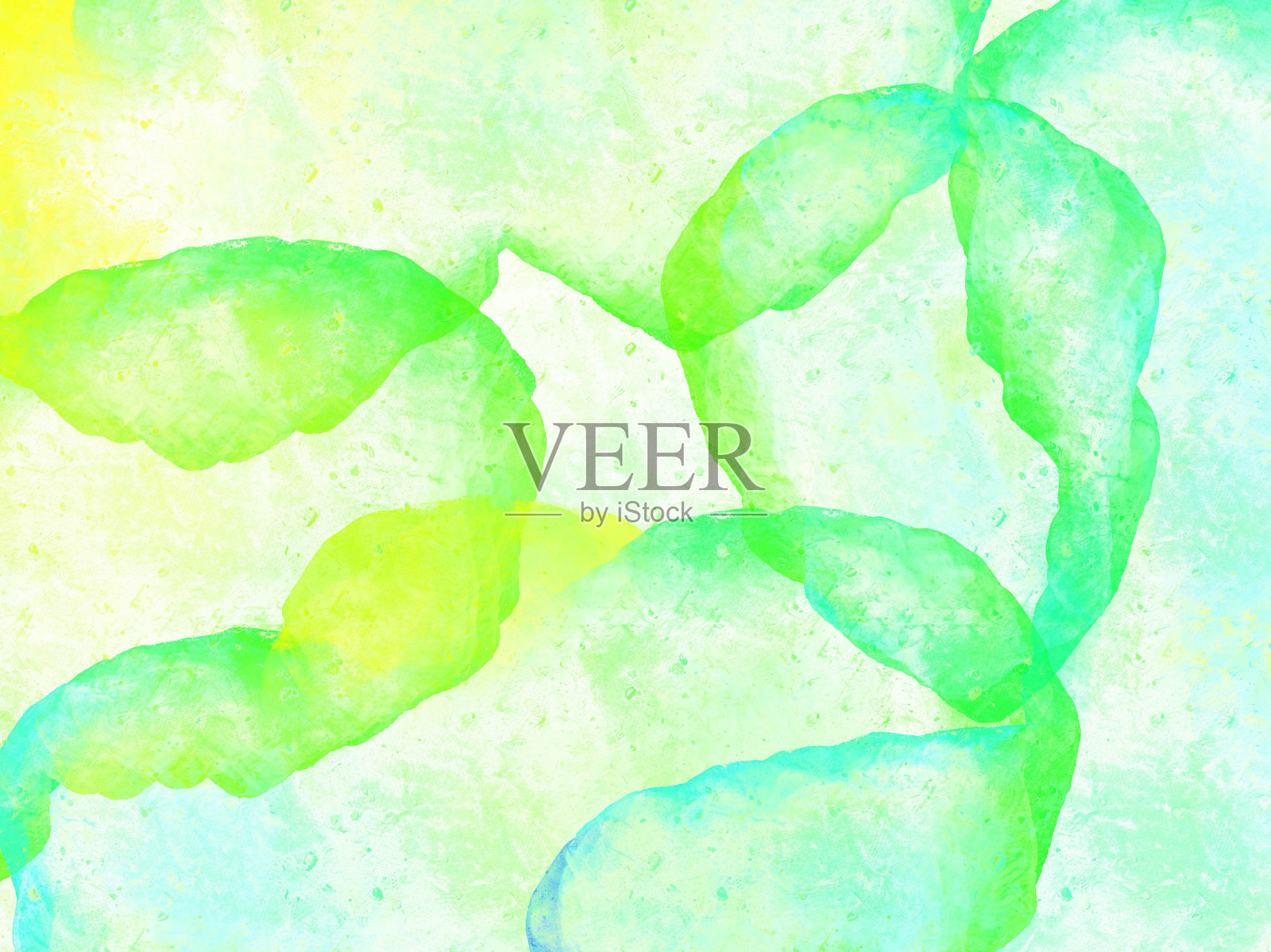 绿色背景照片摄影图片