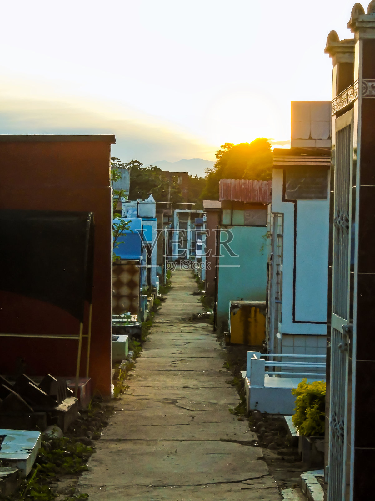 在一个炎热的下午，内瓦中央公墓内的小路照片摄影图片