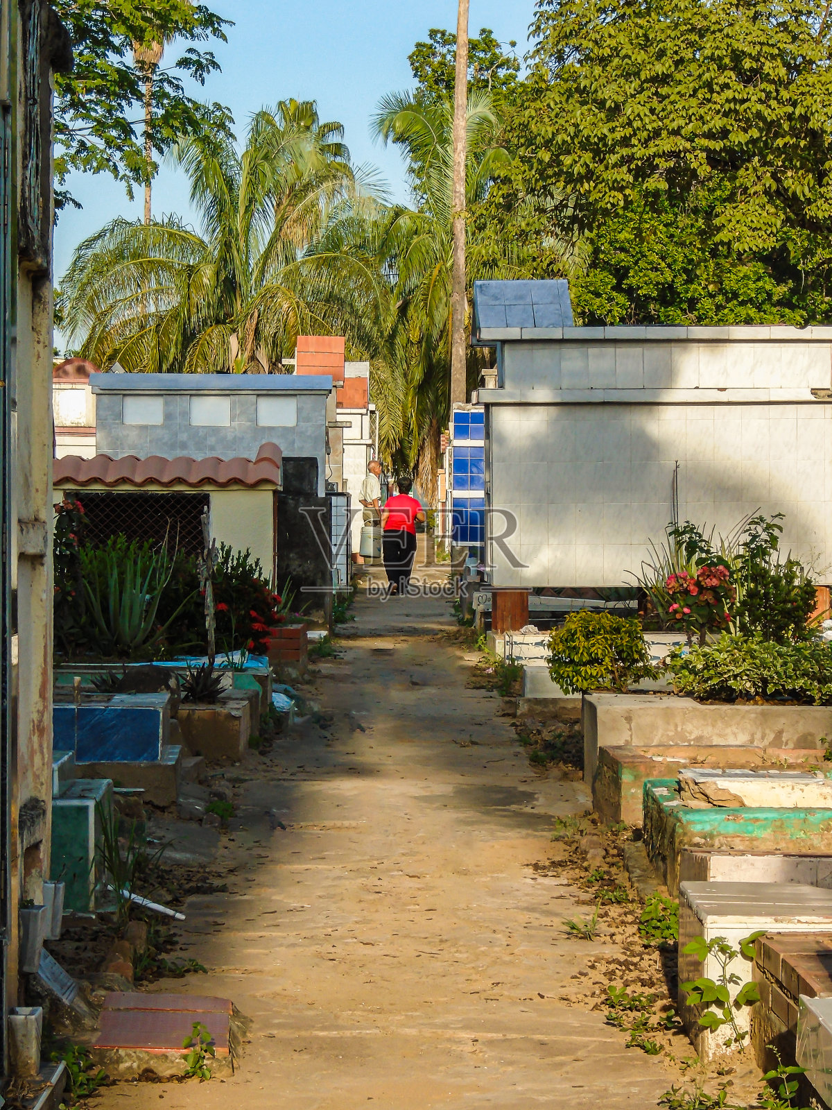 在哥伦比亚内瓦韦拉中央公墓的一条小路的尽头，一个背对着他的人照片摄影图片