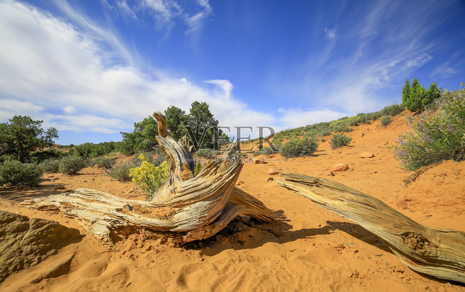 在通往梅萨拱门的小路上的景色照片摄影图片