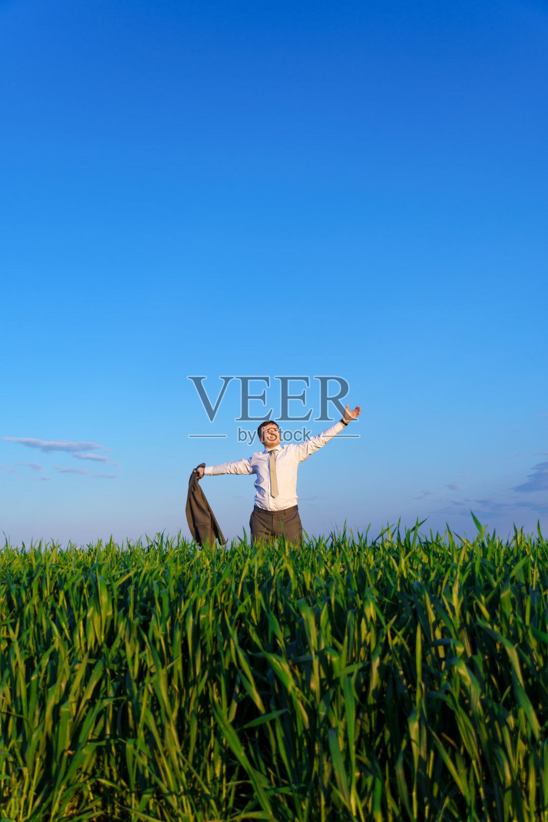 一个商人在绿色的草地上摆姿势，休闲或自由职业的概念照片摄影图片