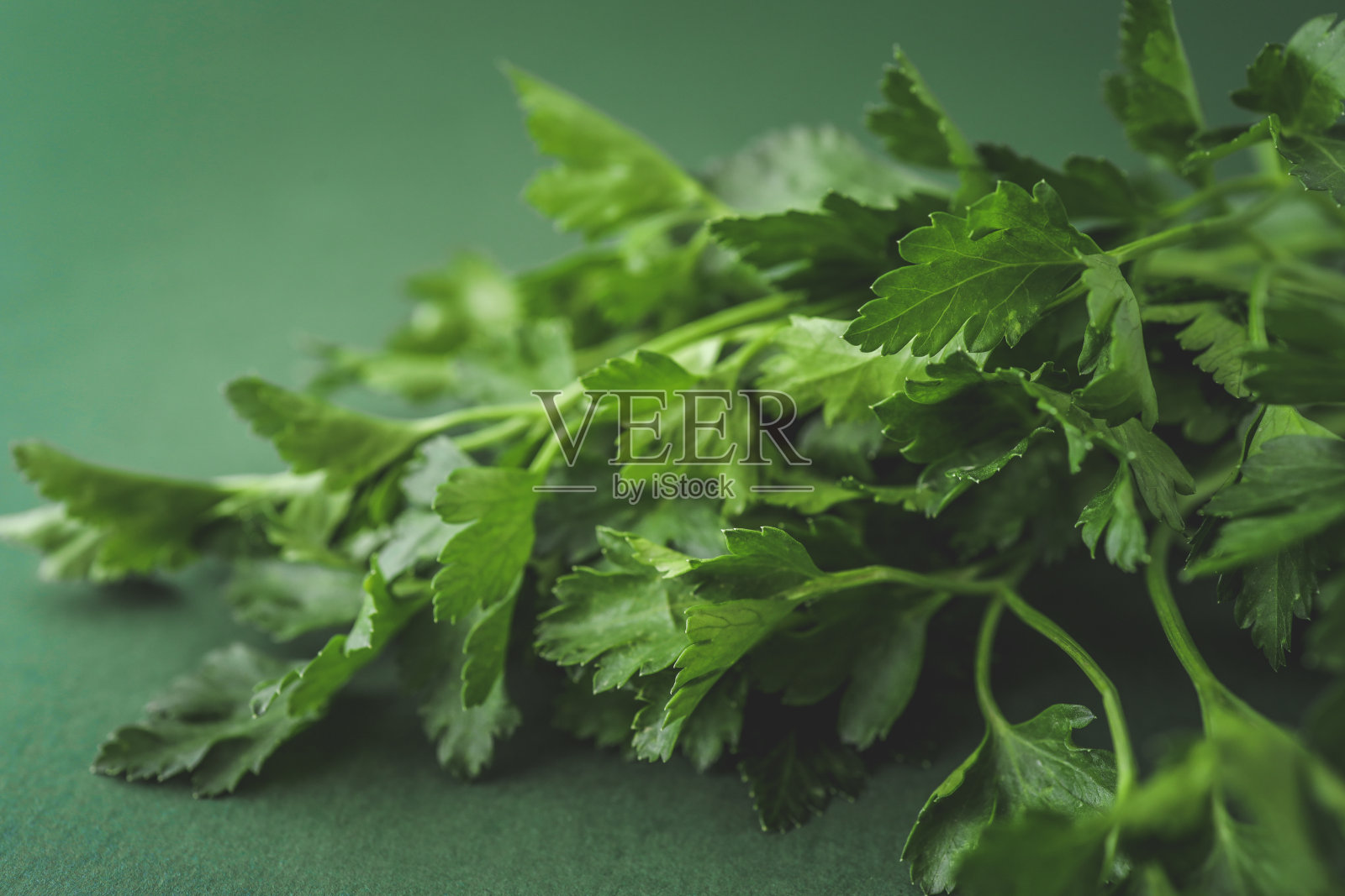 绿色背景上的绿枝新鲜欧芹照片摄影图片