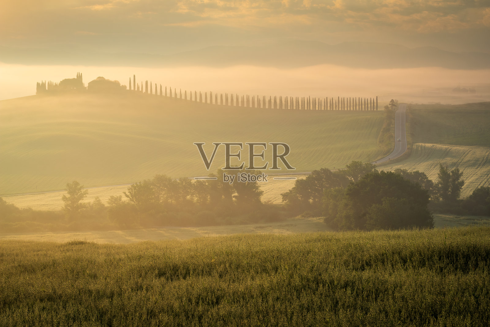 意大利托斯卡纳。宁静的晨雾和典型的托斯卡纳乡村景观，柏树。照片摄影图片