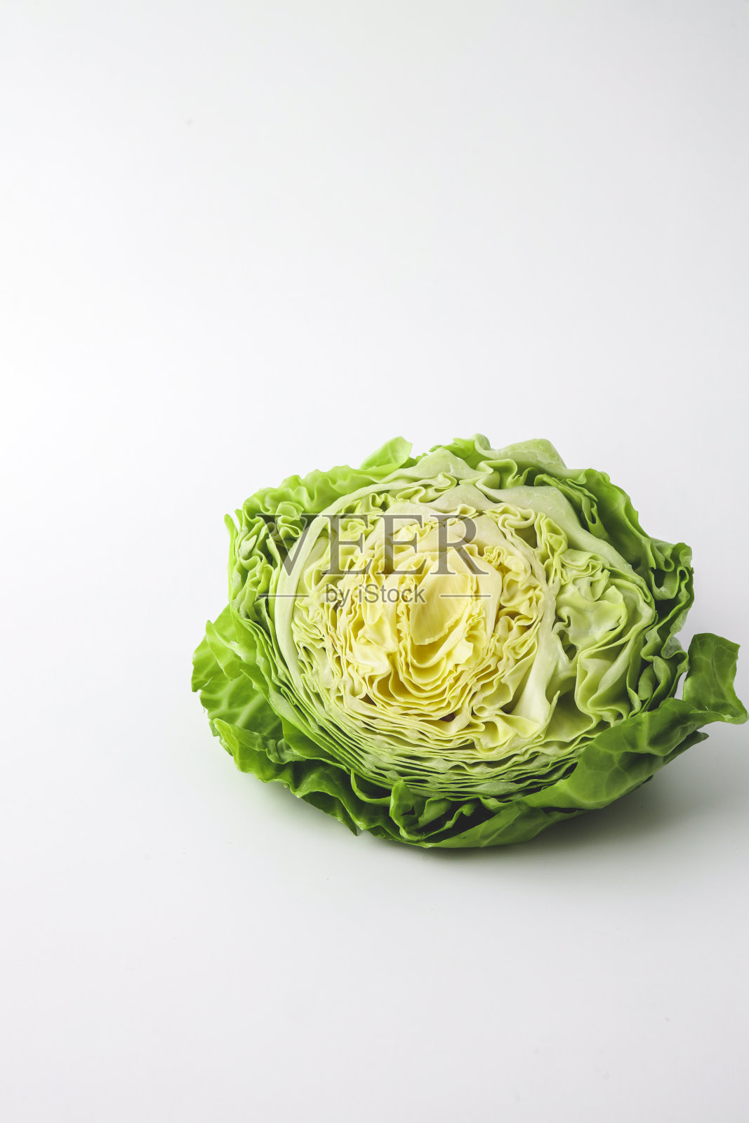 白色背景上分离的白卷心菜照片摄影图片