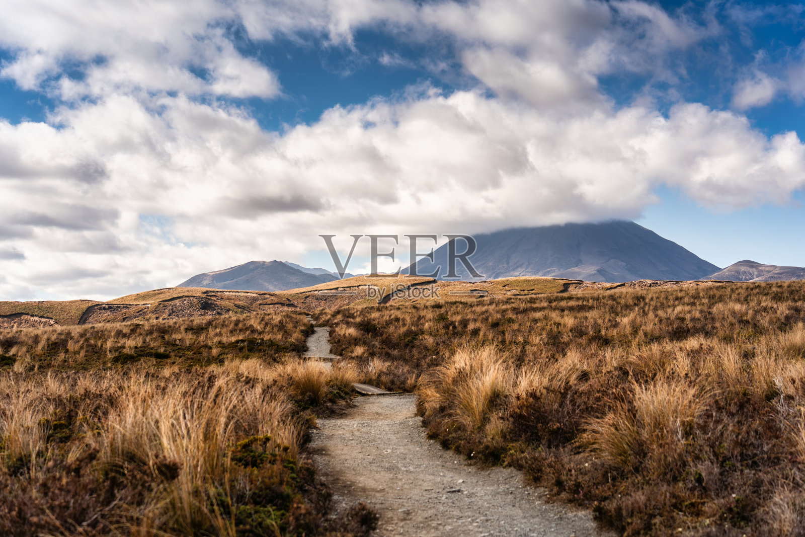 在新西兰汤加里罗高山穿越赛道的金色草甸与火山的景观照片摄影图片