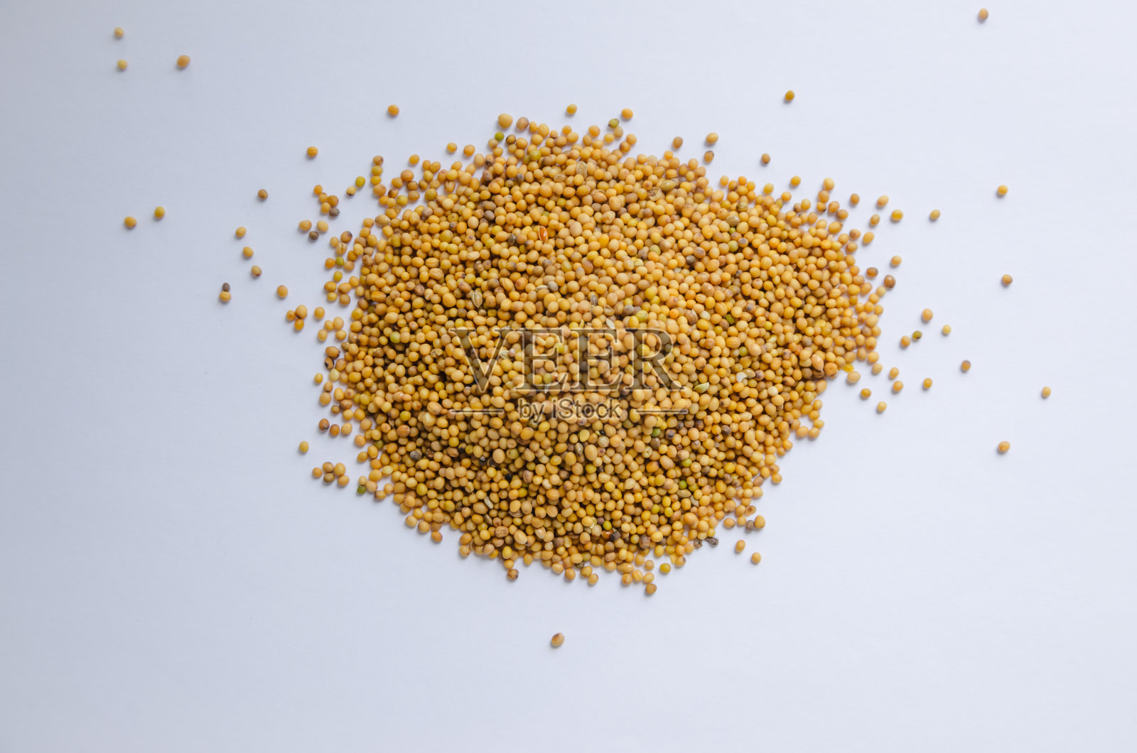 白色背景上的芥末籽黄色照片摄影图片