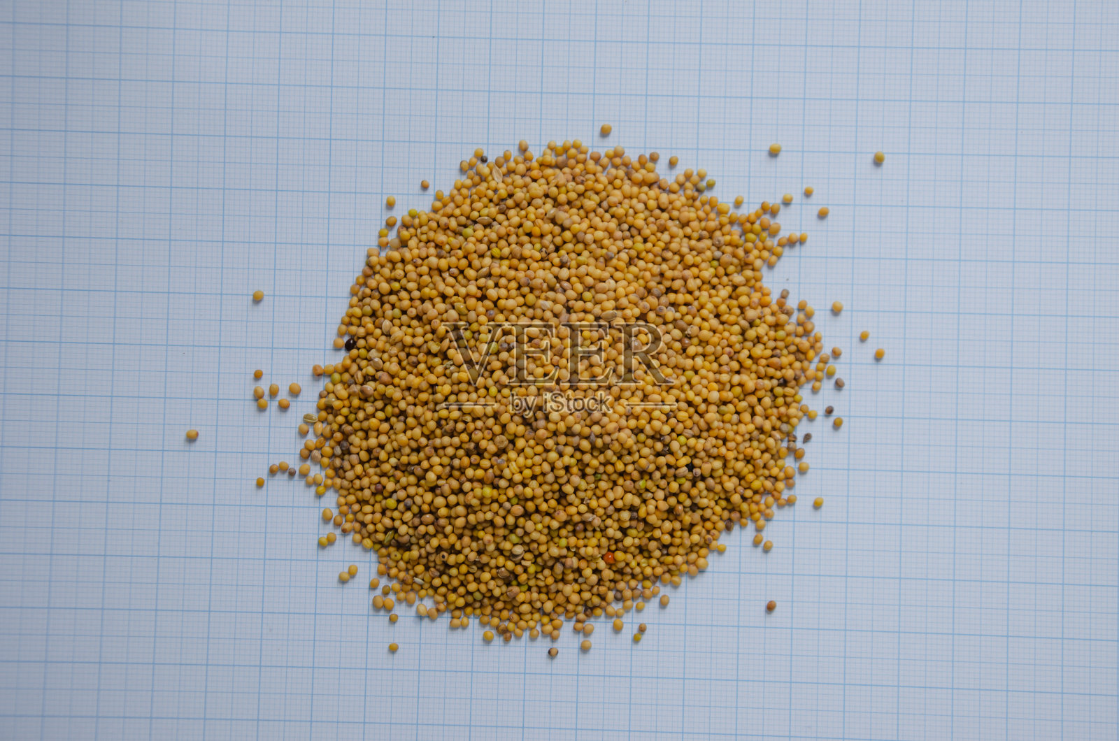 图示纸上的芥菜籽黄色便于尺寸理解照片摄影图片