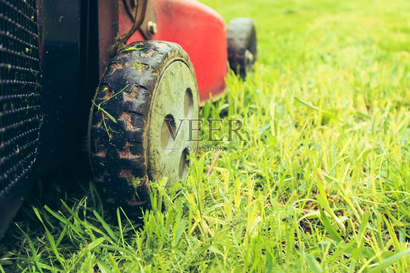 草坪上的除草机。一台旧的红色割草机正在修剪茂盛的绿草照片摄影图片