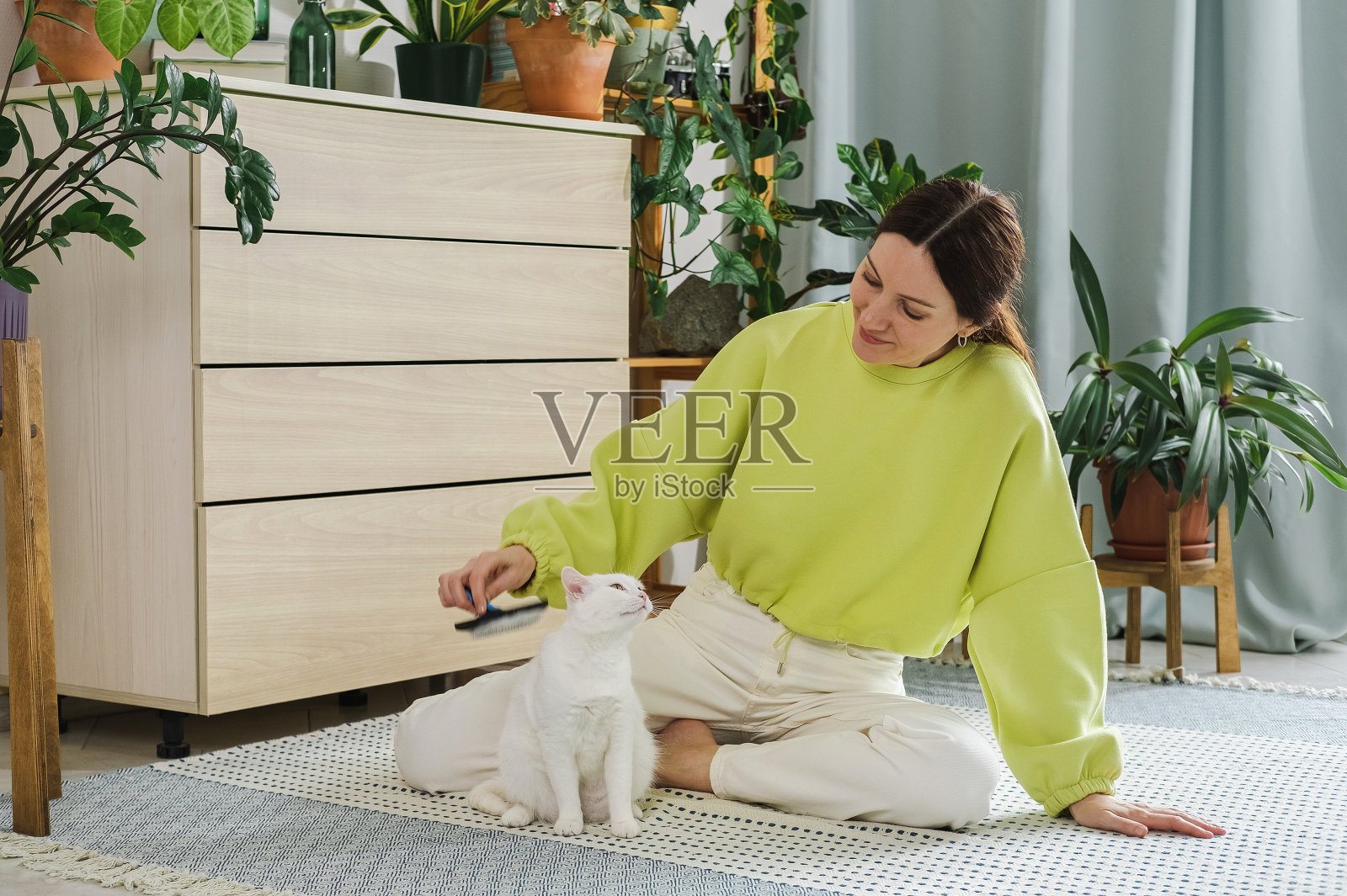 一个女人在家里的地板上给她可爱的白猫梳头。毛茸茸的宠物喜欢梳头。照顾宠物的女人。卫生的概念。可爱舒适的背景。照片摄影图片
