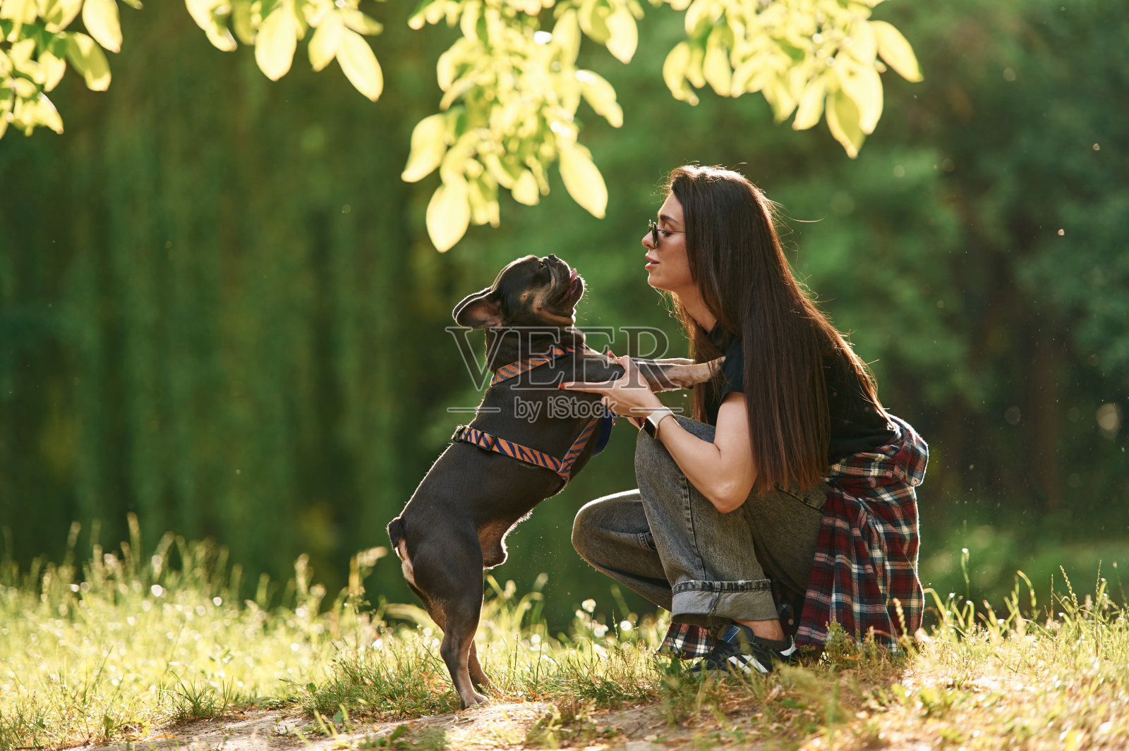 在草地上玩耍。年轻漂亮的女人和她的狗在公园里照片摄影图片