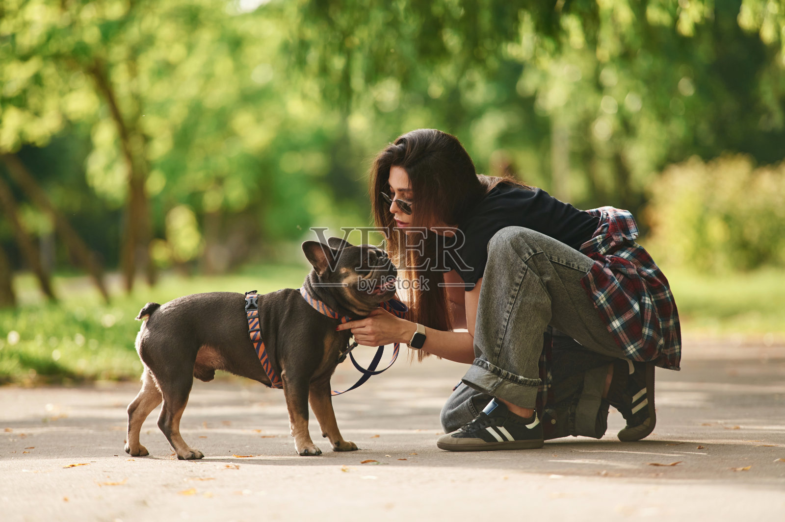 侧视图，播放。年轻漂亮的女人和她的狗在公园里照片摄影图片