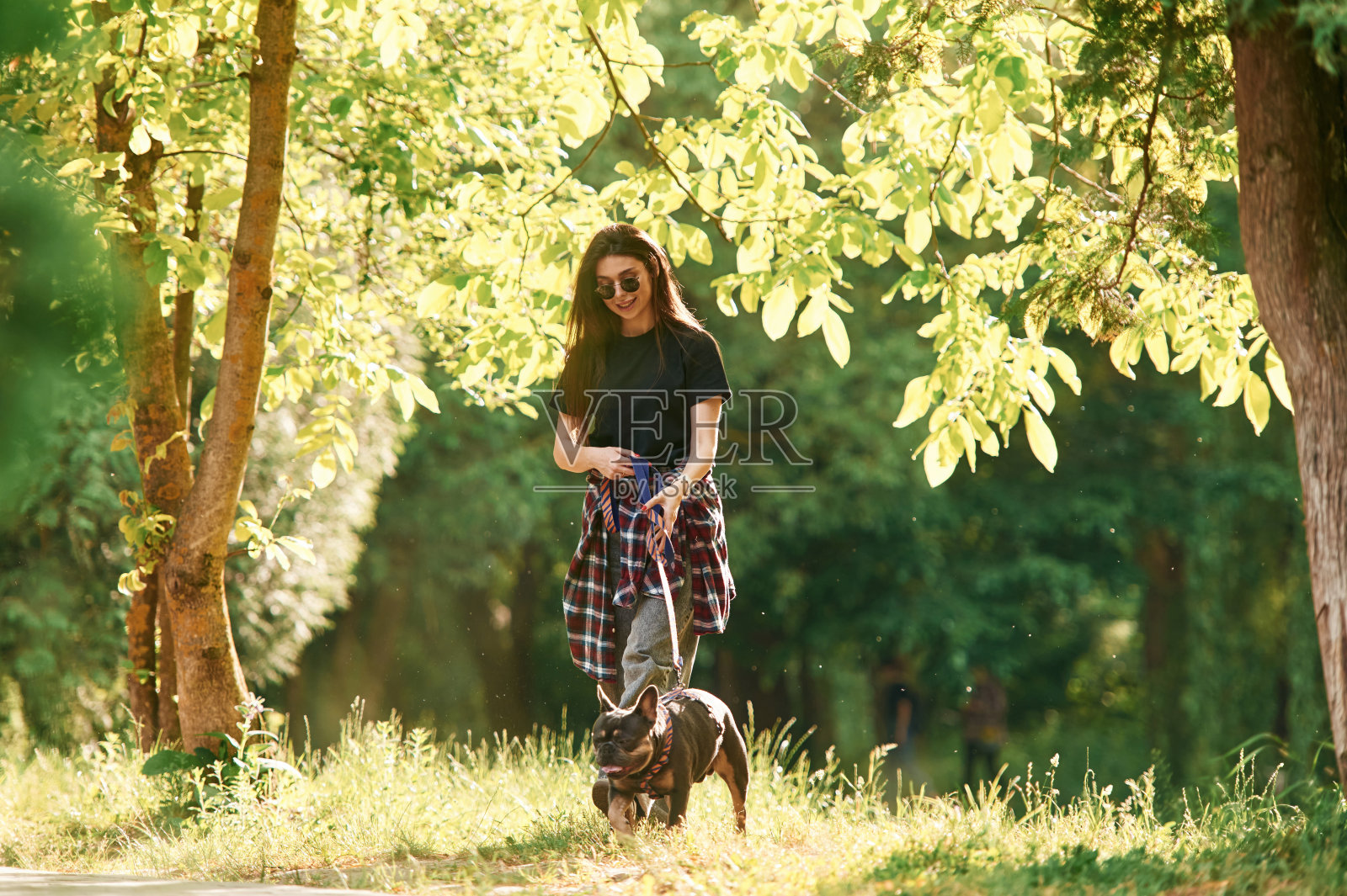 在明亮的阳光下。年轻漂亮的女人和她的狗在公园里照片摄影图片