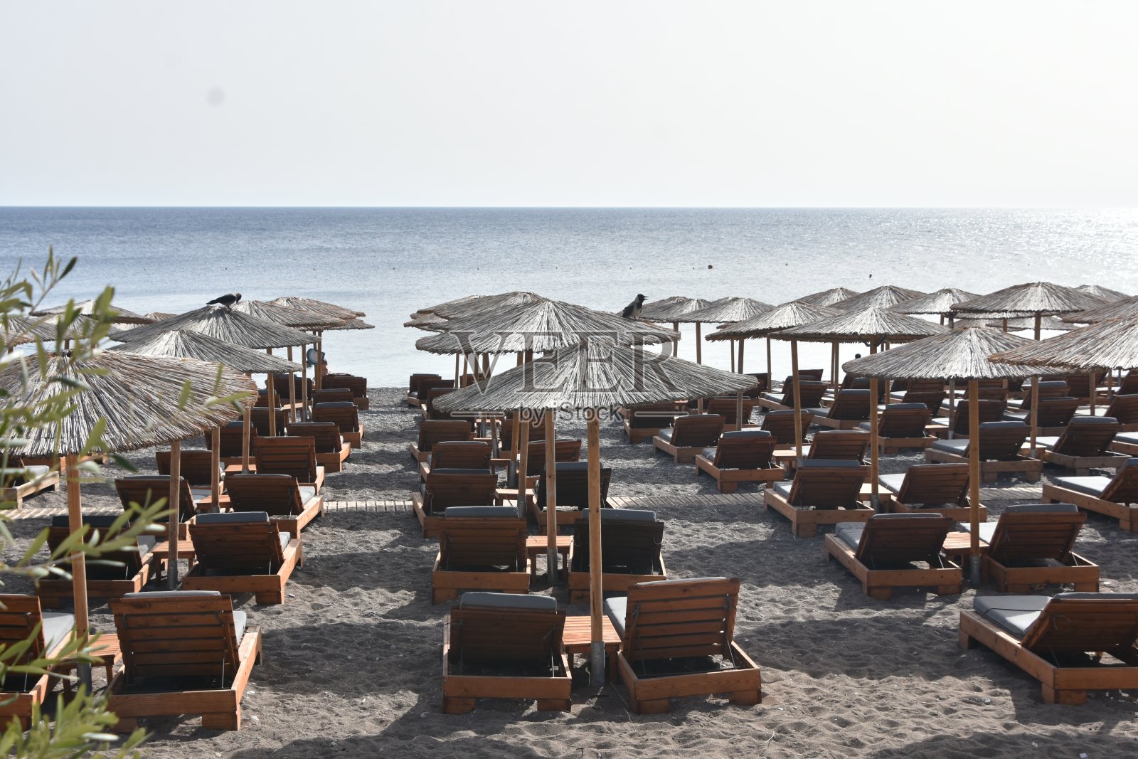 沙滩上的遮阳伞照片摄影图片