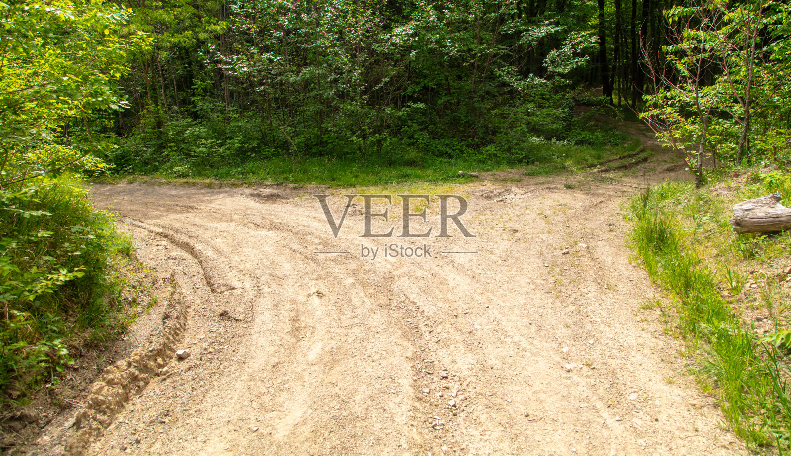 夏天森林里的土路照片摄影图片