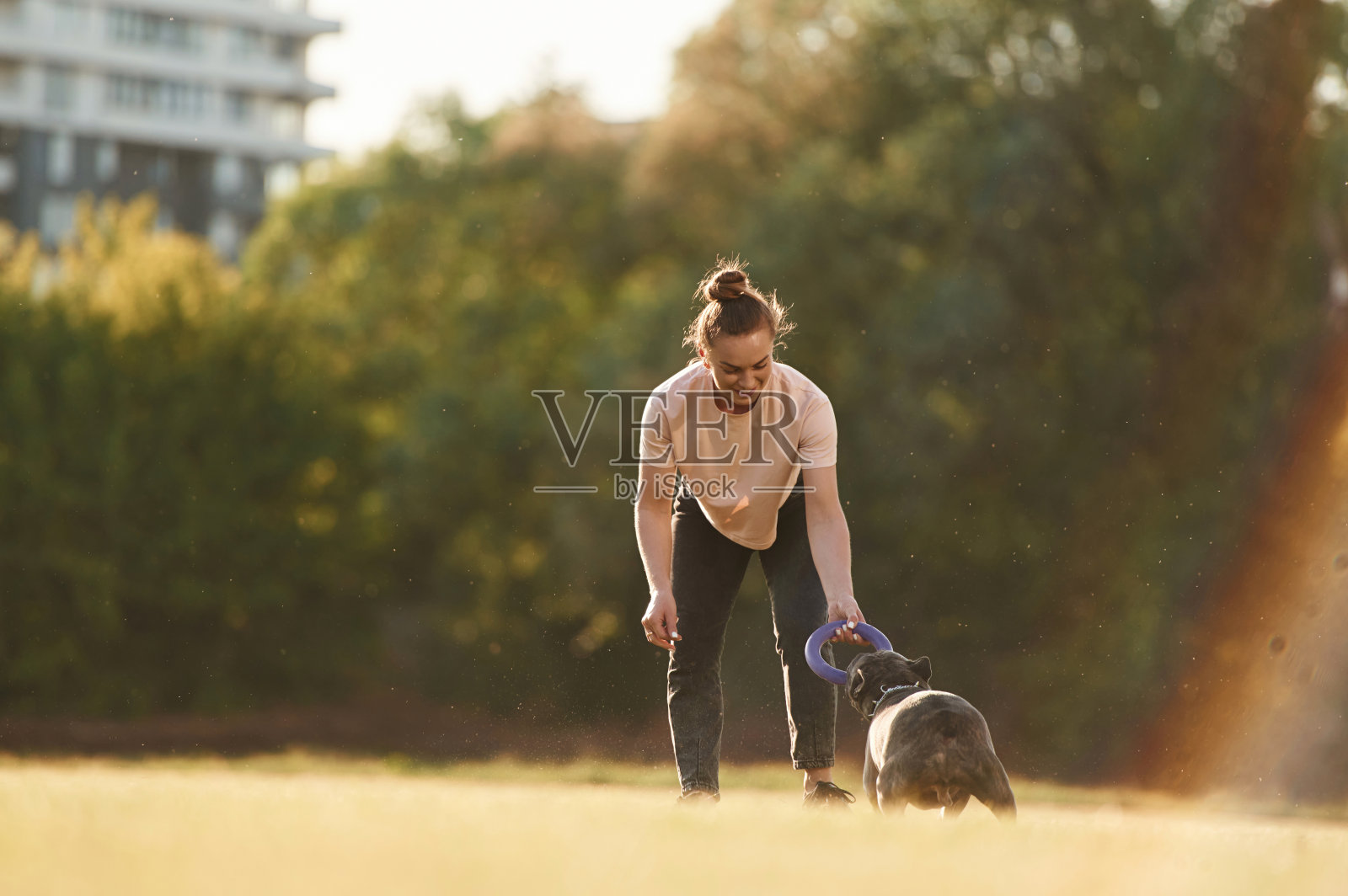 一个女人带着狗在夏日的田野上照片摄影图片